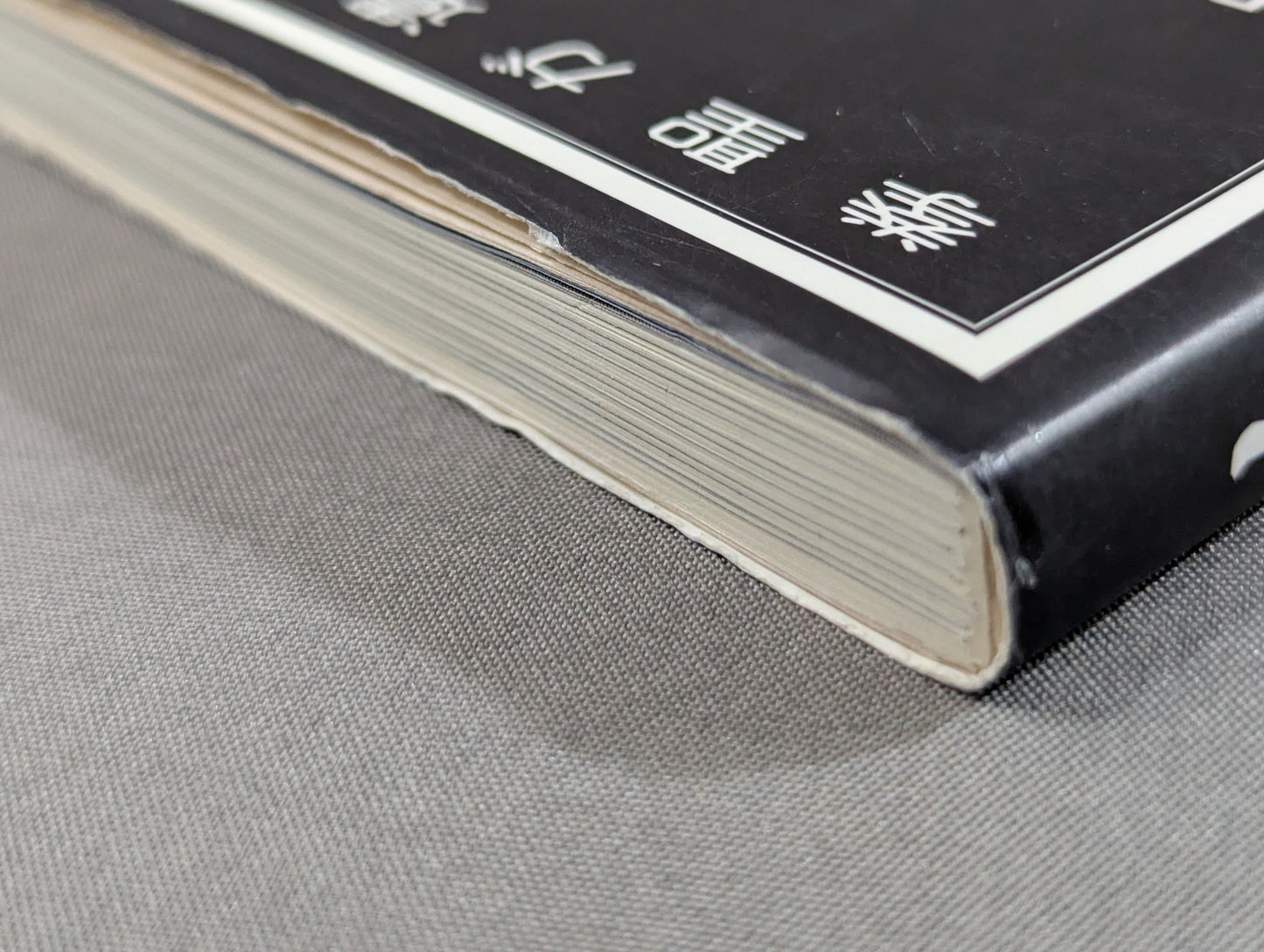 The Door of Tai Chi From Kenichi Sawai to Satoshi Amano Now is the time for Tai Chi Chun to be revealed!