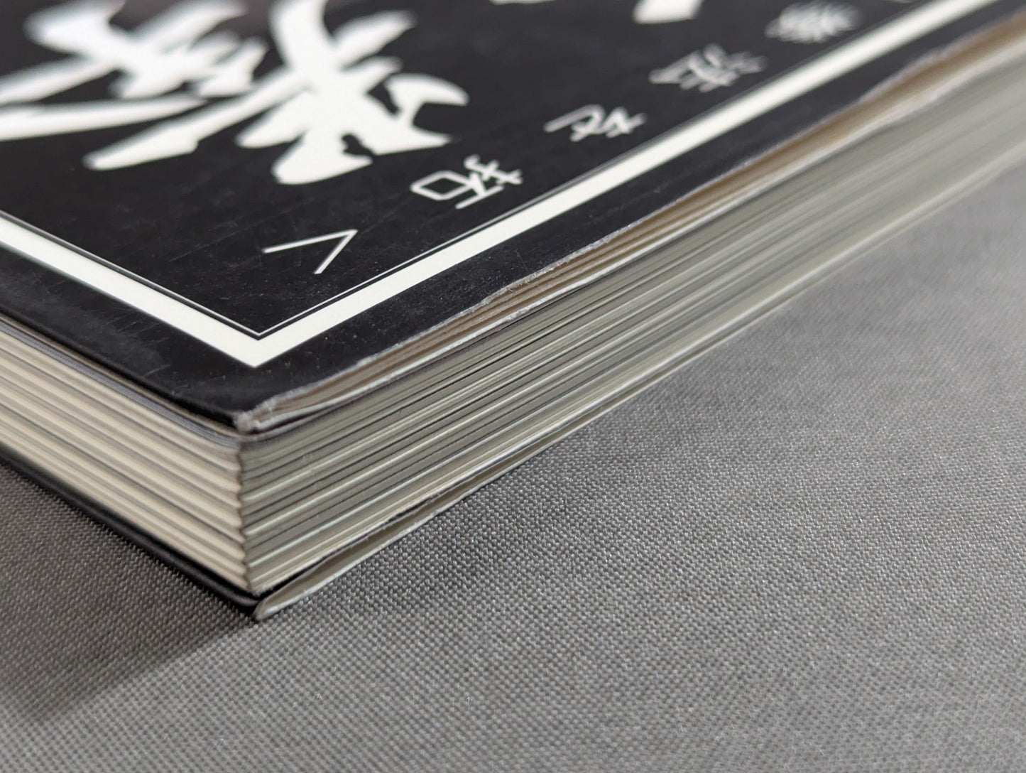 The Door of Tai Chi From Kenichi Sawai to Satoshi Amano Now is the time for Tai Chi Chun to be revealed!