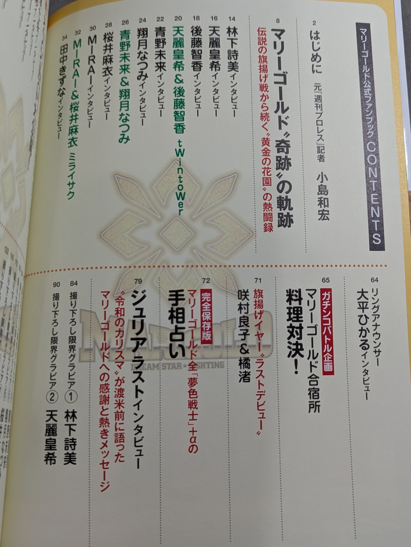 マリーゴールド公式ファンブック