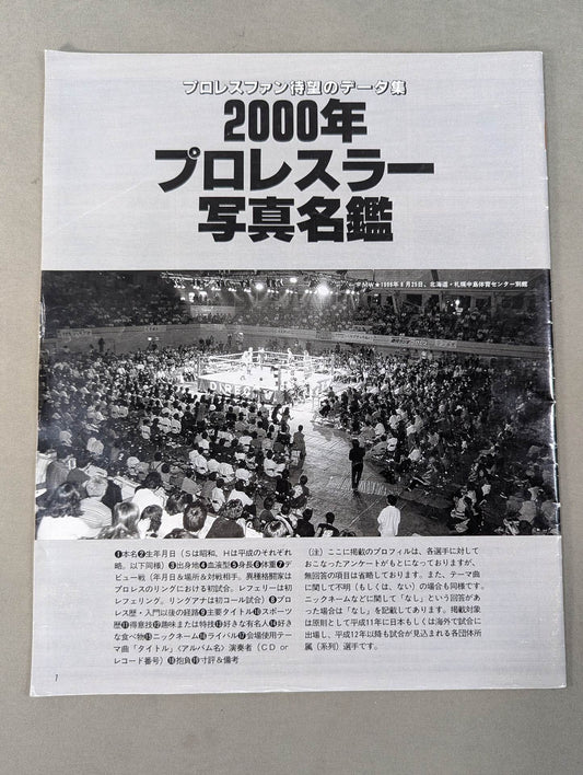 2000 pro wrestler photo  directory