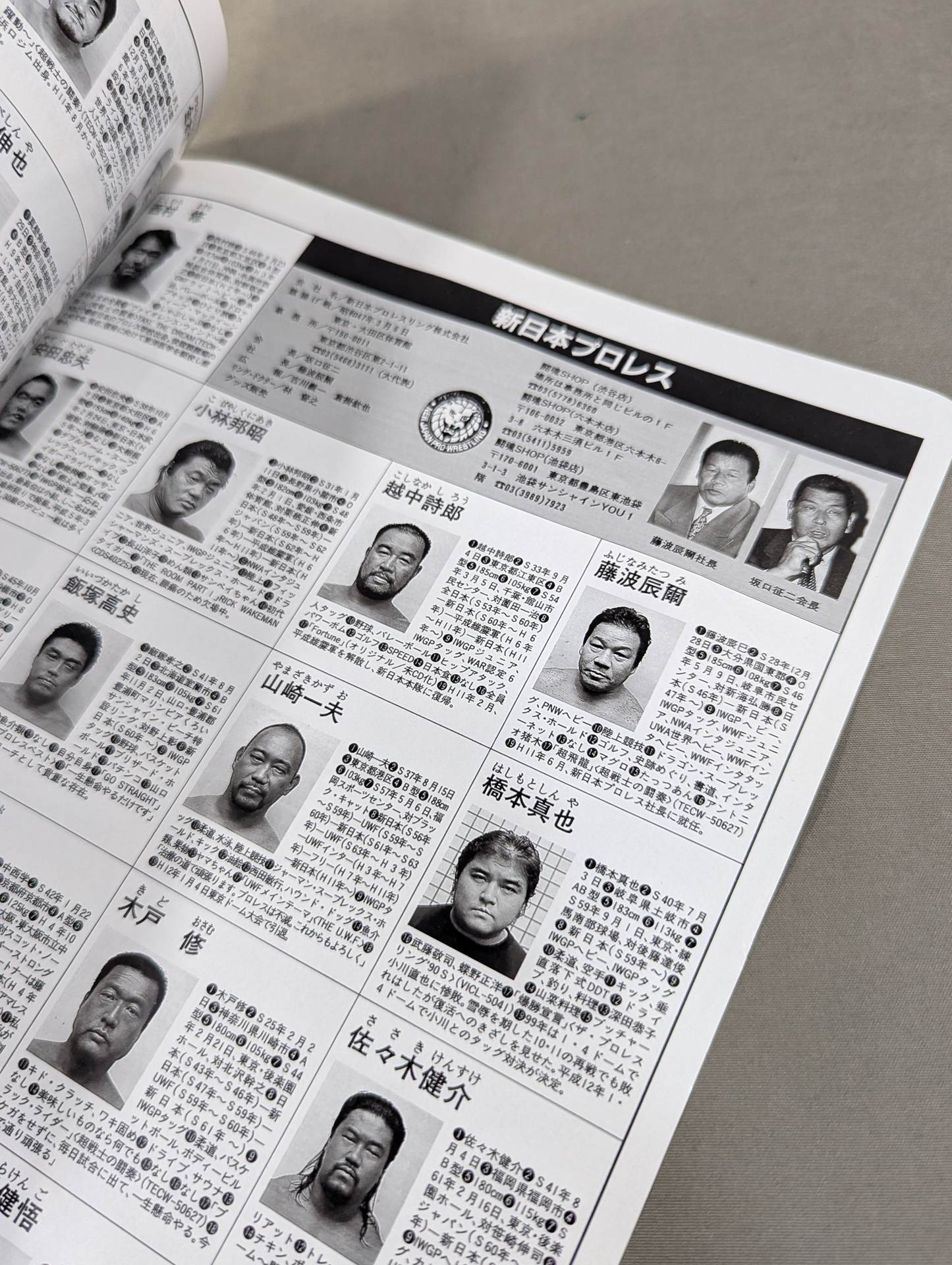 2000 pro wrestler photo  directory