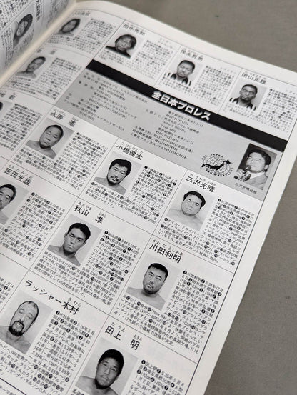 2000 pro wrestler photo  directory