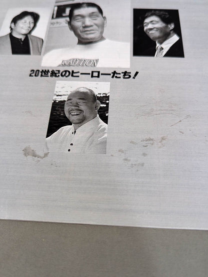 2000 pro wrestler photo  directory