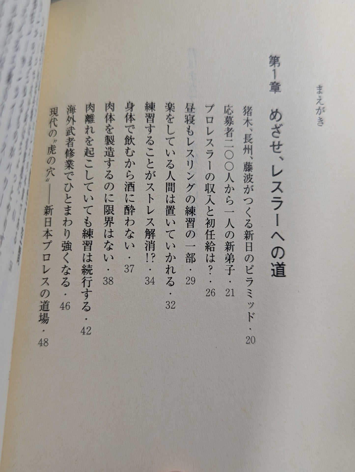 君はまだプロレスを知らない 格闘技哲学宣言