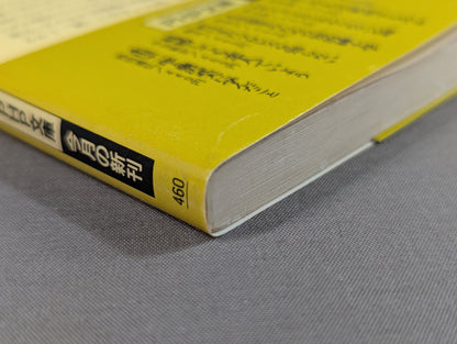 君はまだプロレスを知らない 格闘技哲学宣言