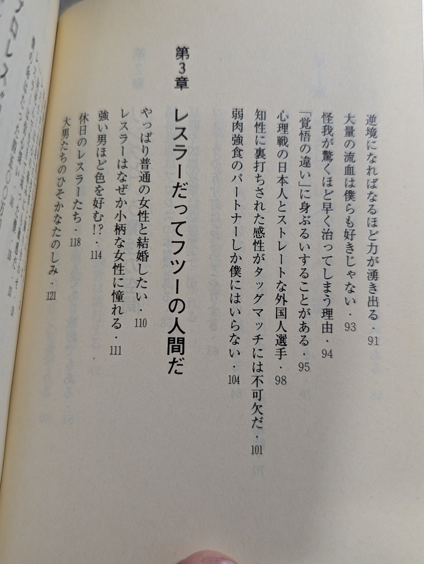 君はまだプロレスを知らない 格闘技哲学宣言