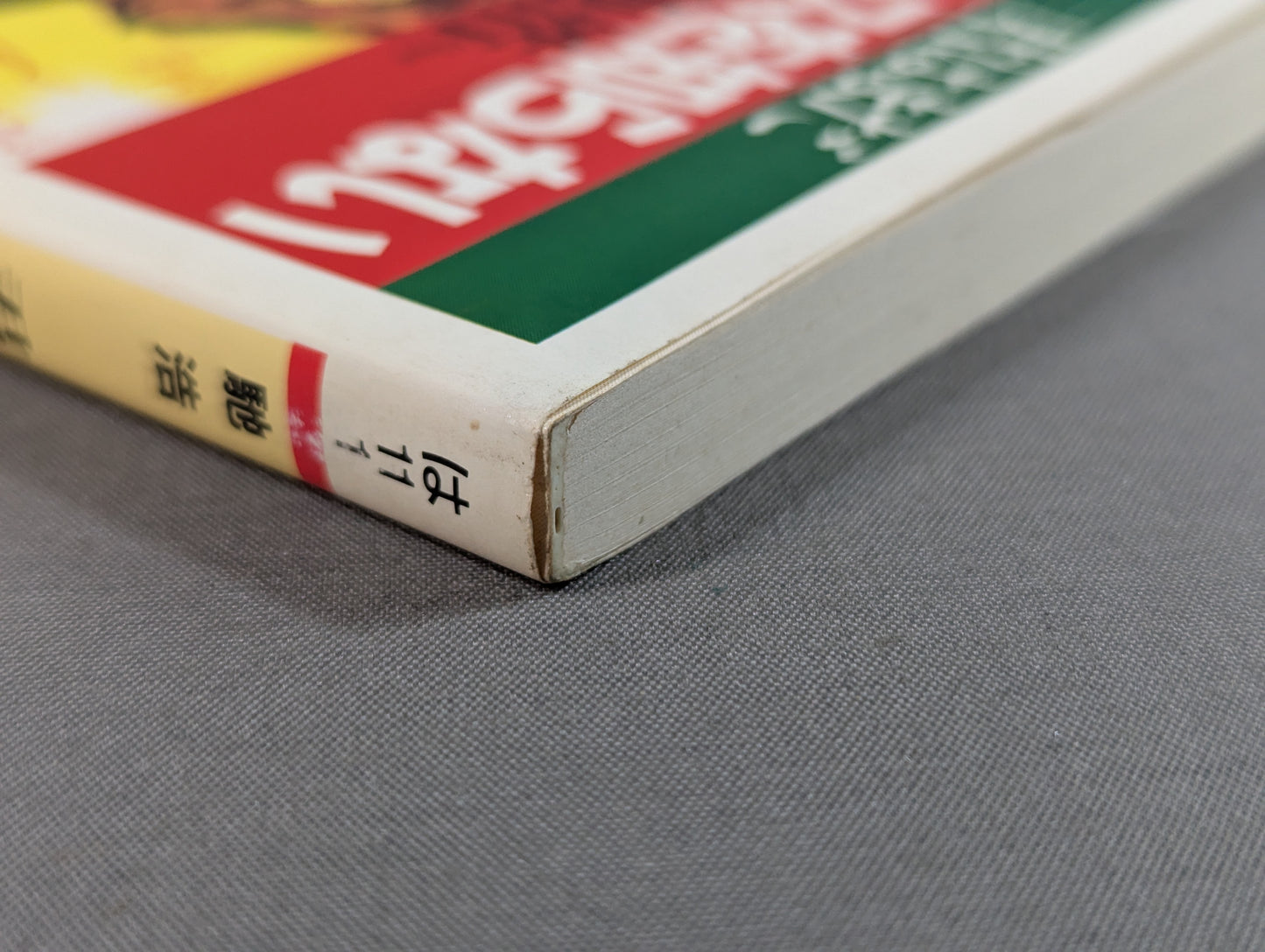君はまだプロレスを知らない 格闘技哲学宣言