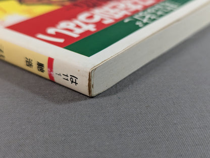 君はまだプロレスを知らない 格闘技哲学宣言