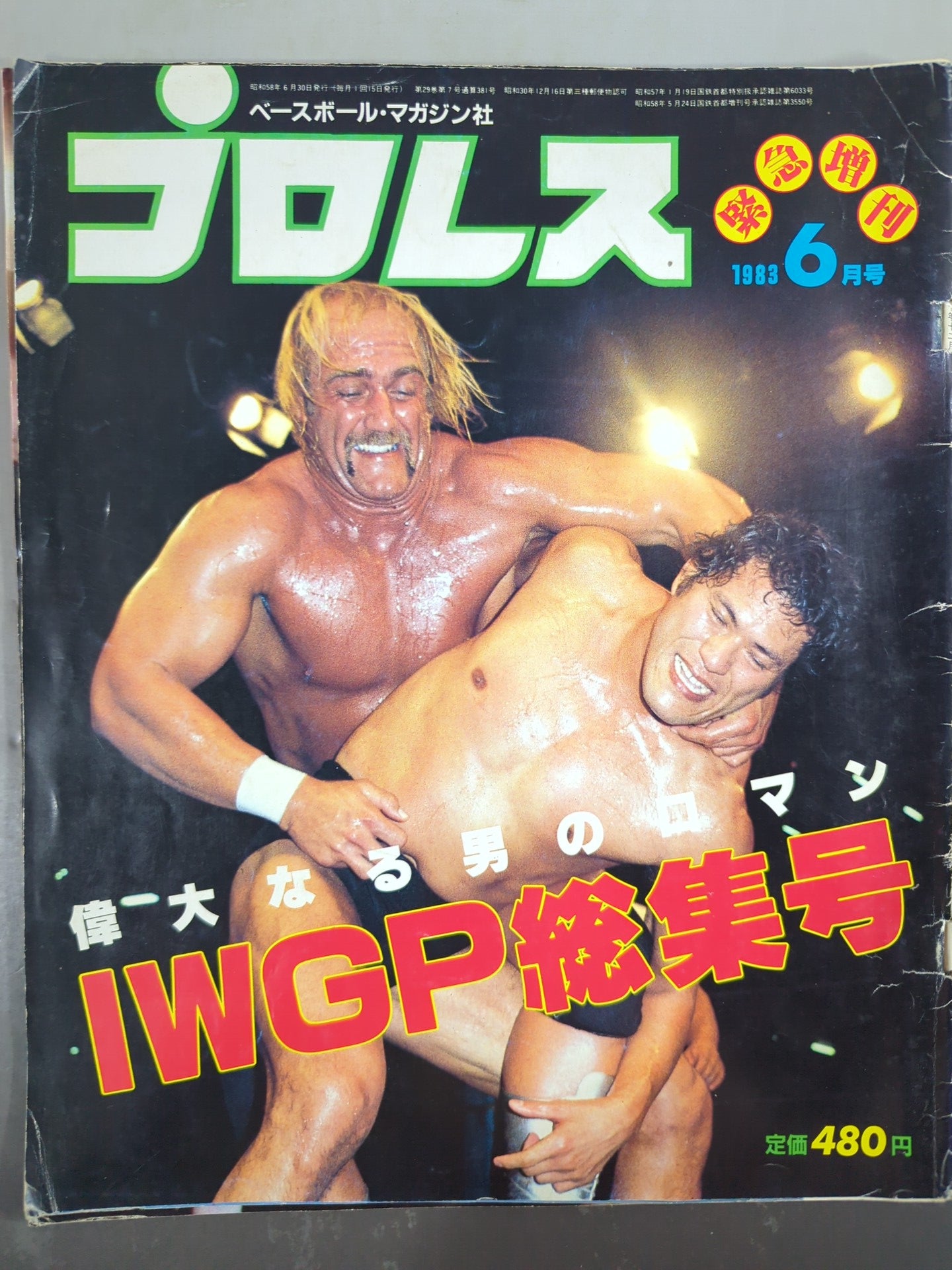 Monthly Pro Wrestling June 1983 issue supplement