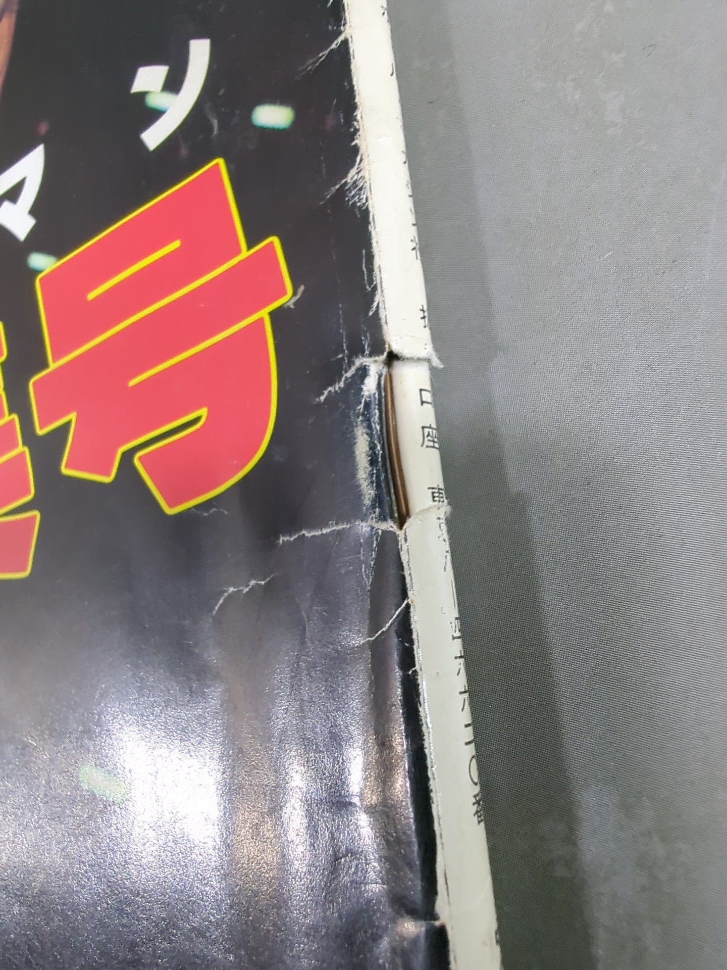 Monthly Pro Wrestling June 1983 issue supplement