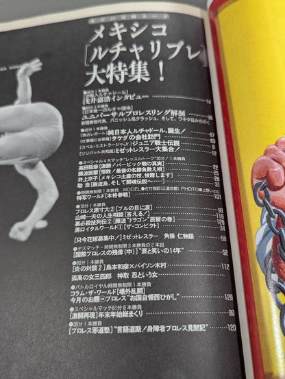 WB/レッスルボーイ No.2 / ビバ!メヒコ ルチャリブレ特集号