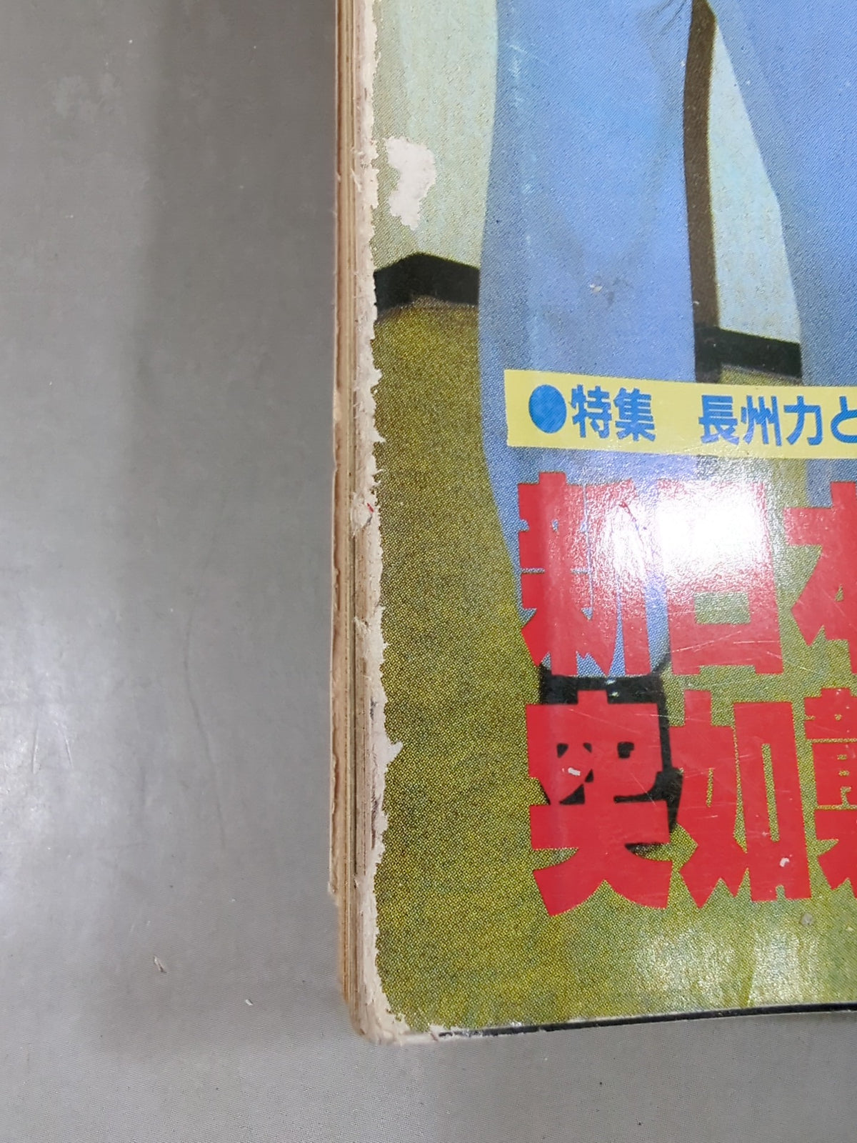 別冊ゴングVol.15 No.7