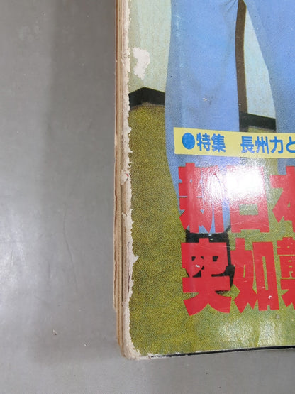 別冊ゴングVol.15 No.7