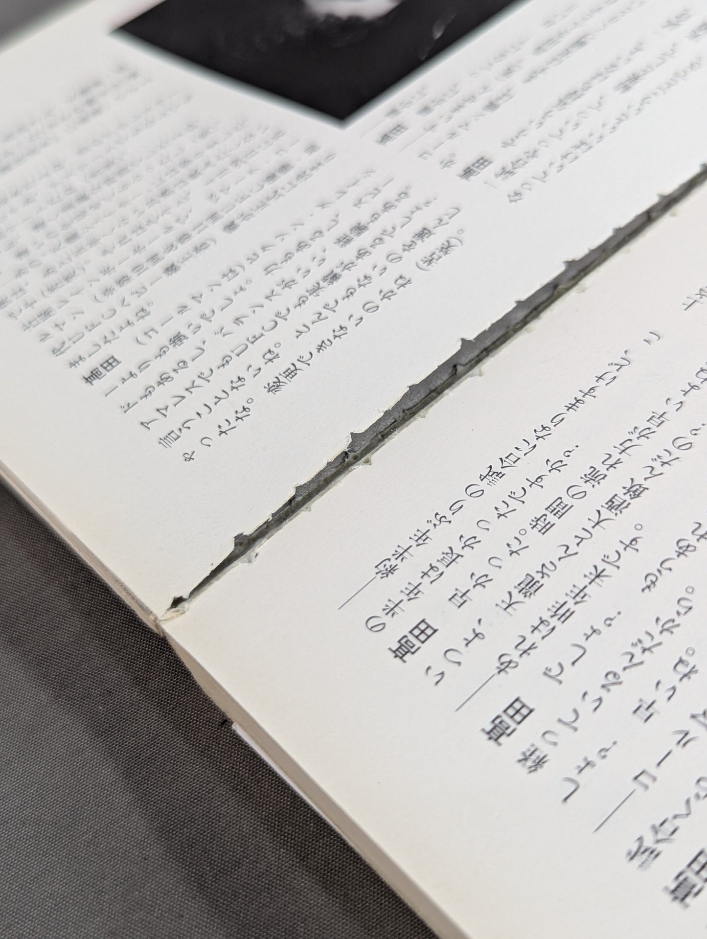 Over the Shot Strongest Pro Wrestling  = Martial Arts Reading Book