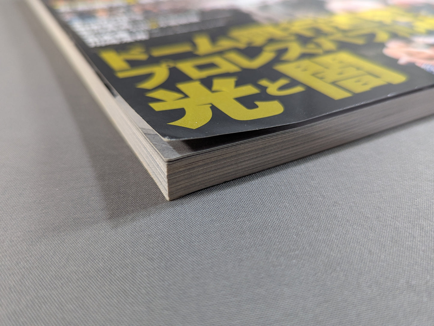 Our Pro Wrestling Vol.7 Dome Box Office Hit! Pro Wrestling ・Light and darkness in the bubble era