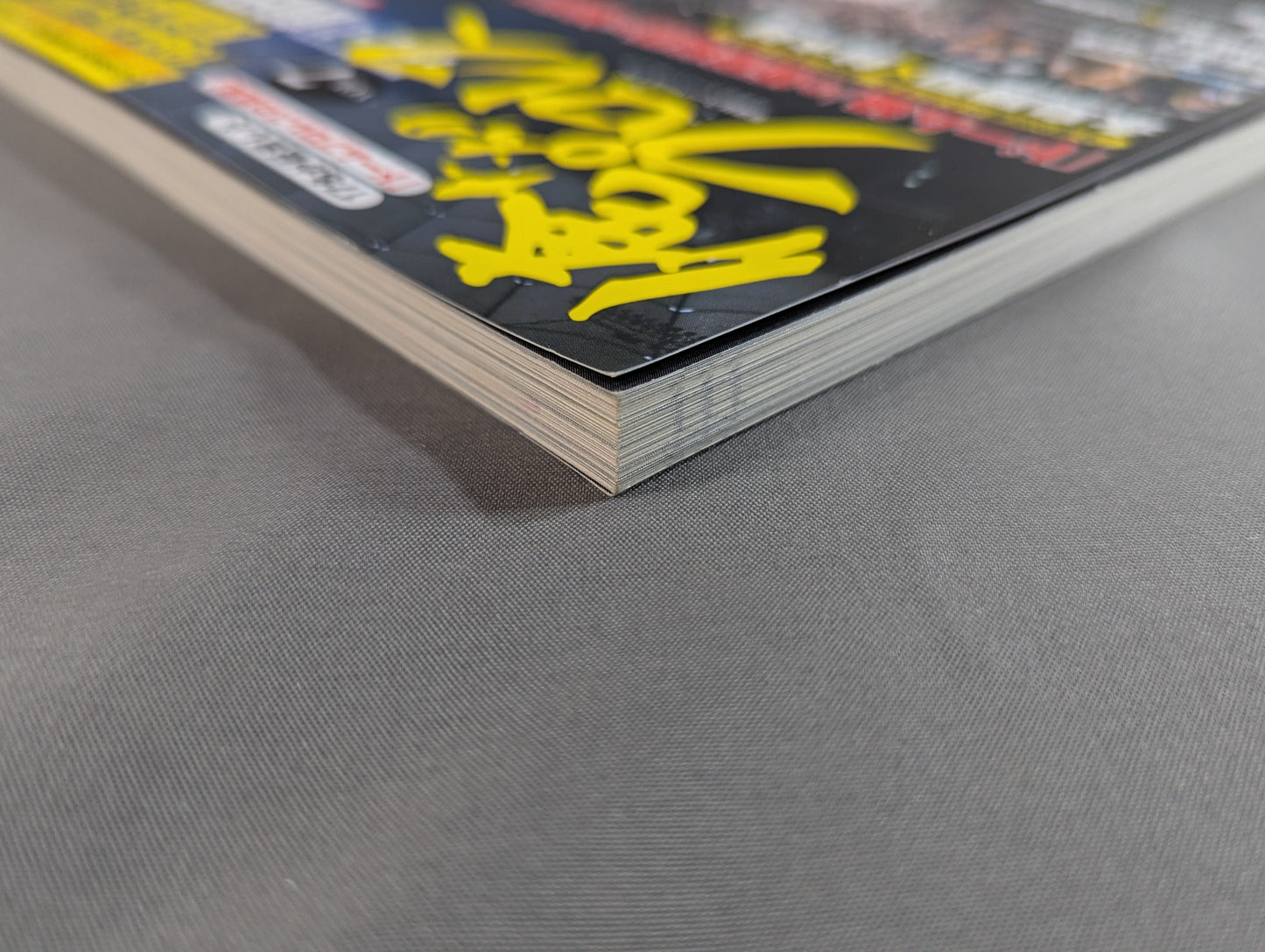 Our Pro Wrestling Vol.7 Dome Box Office Hit! Pro Wrestling ・Light and darkness in the bubble era