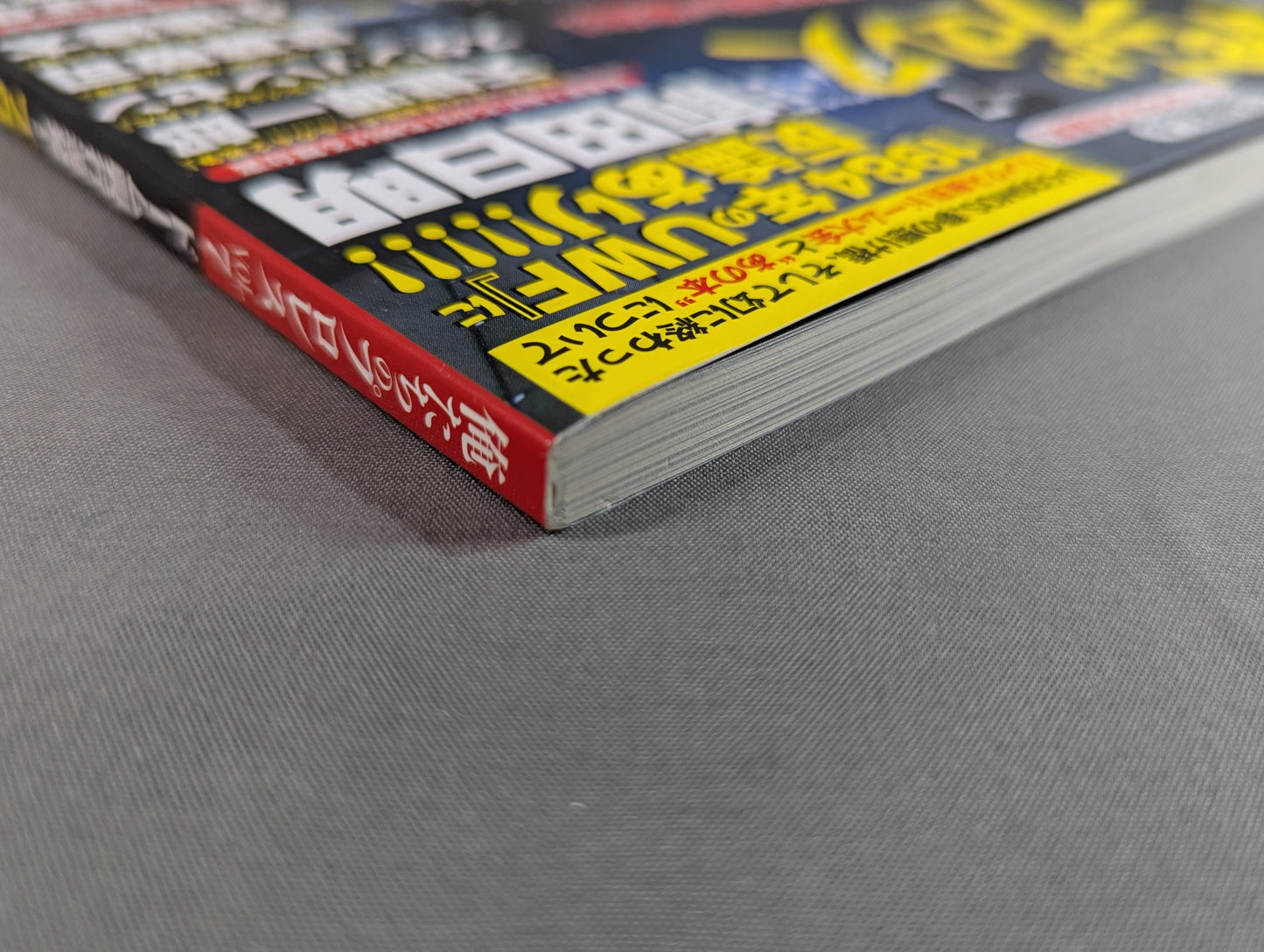 Our Pro Wrestling Vol.7 Dome Box Office Hit! Pro Wrestling ・Light and darkness in the bubble era