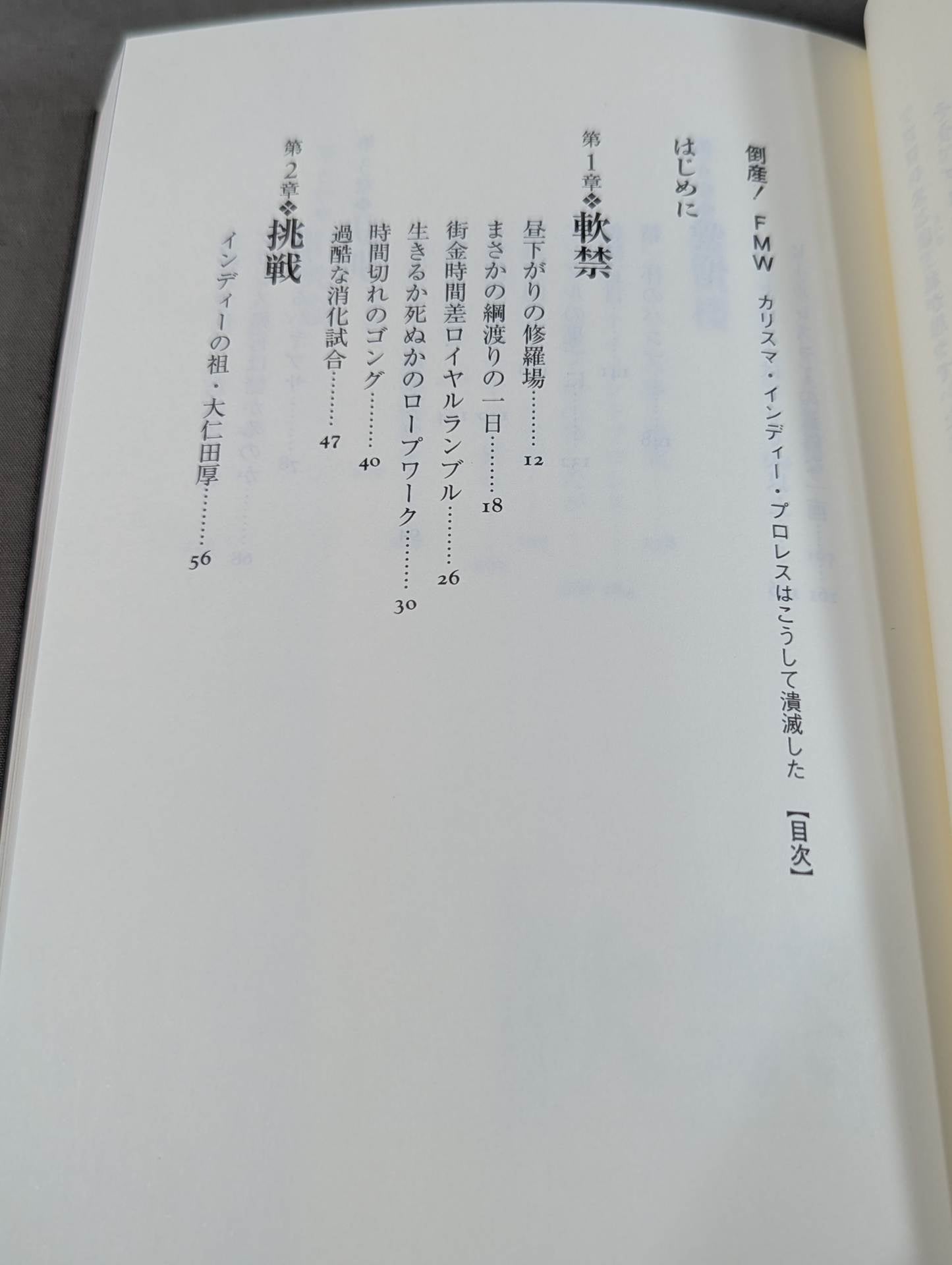 Bankruptcy! This is how FMW charismatic indie Pro Wrestling was destroyed