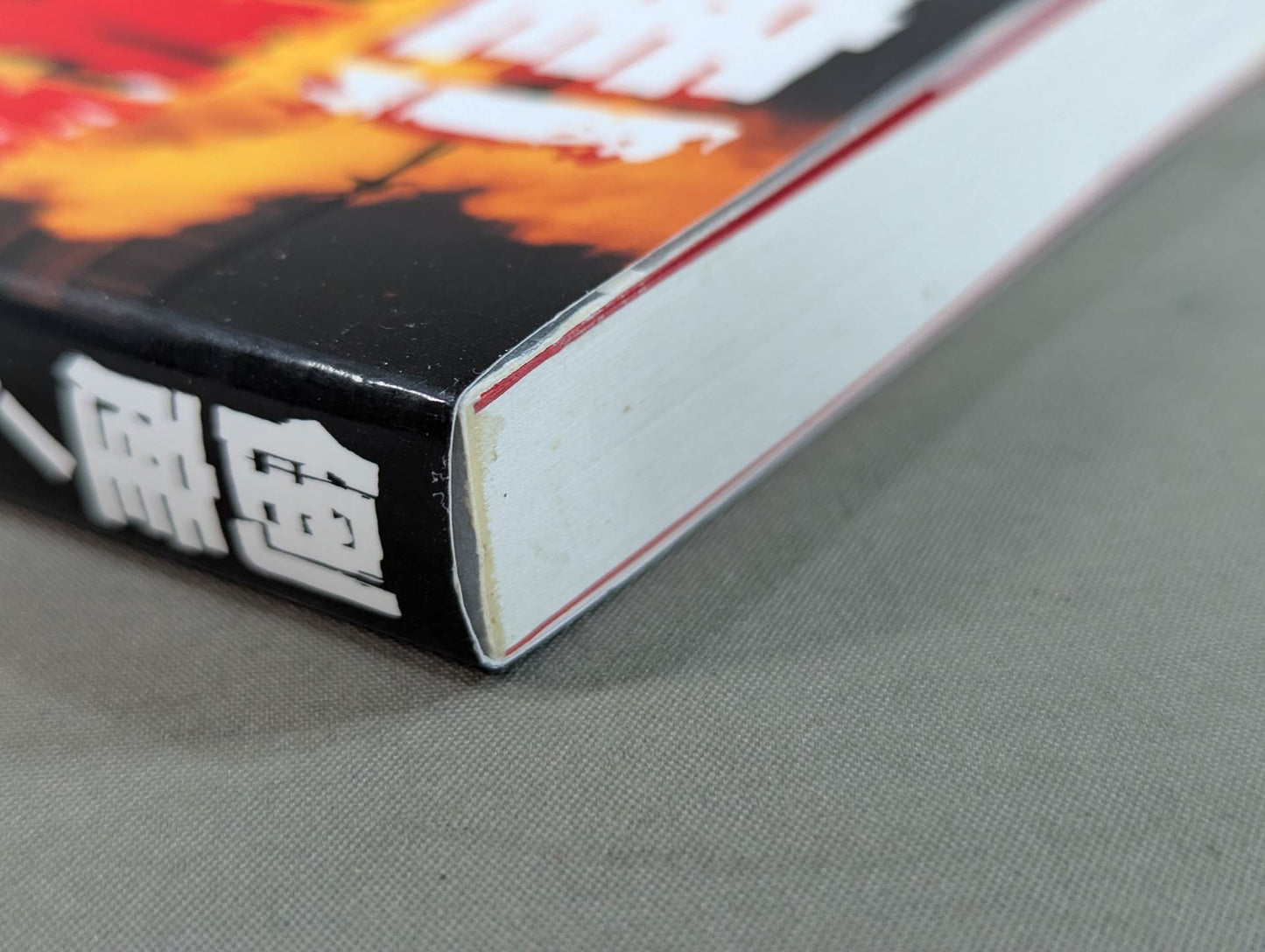 Bankruptcy! This is how FMW charismatic indie Pro Wrestling was destroyed