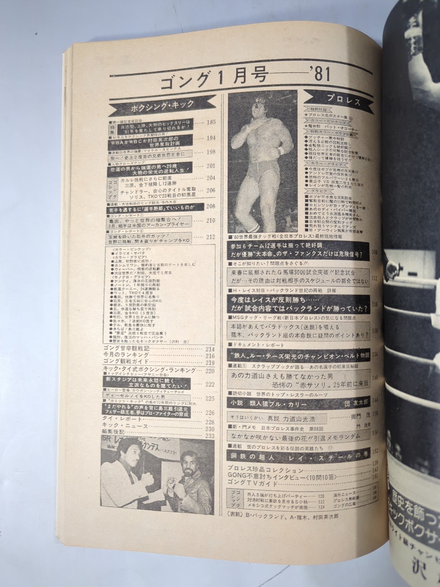 月刊ゴングVol.14 No.1