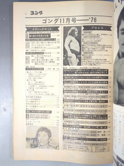 月刊ゴングVol.9 No.15