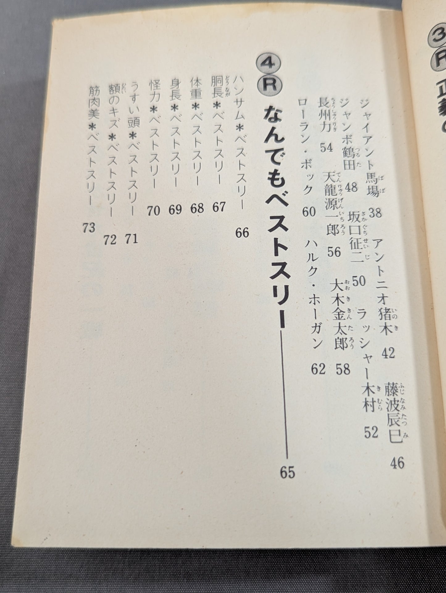 豆たぬきの本176 プロレス大好き!