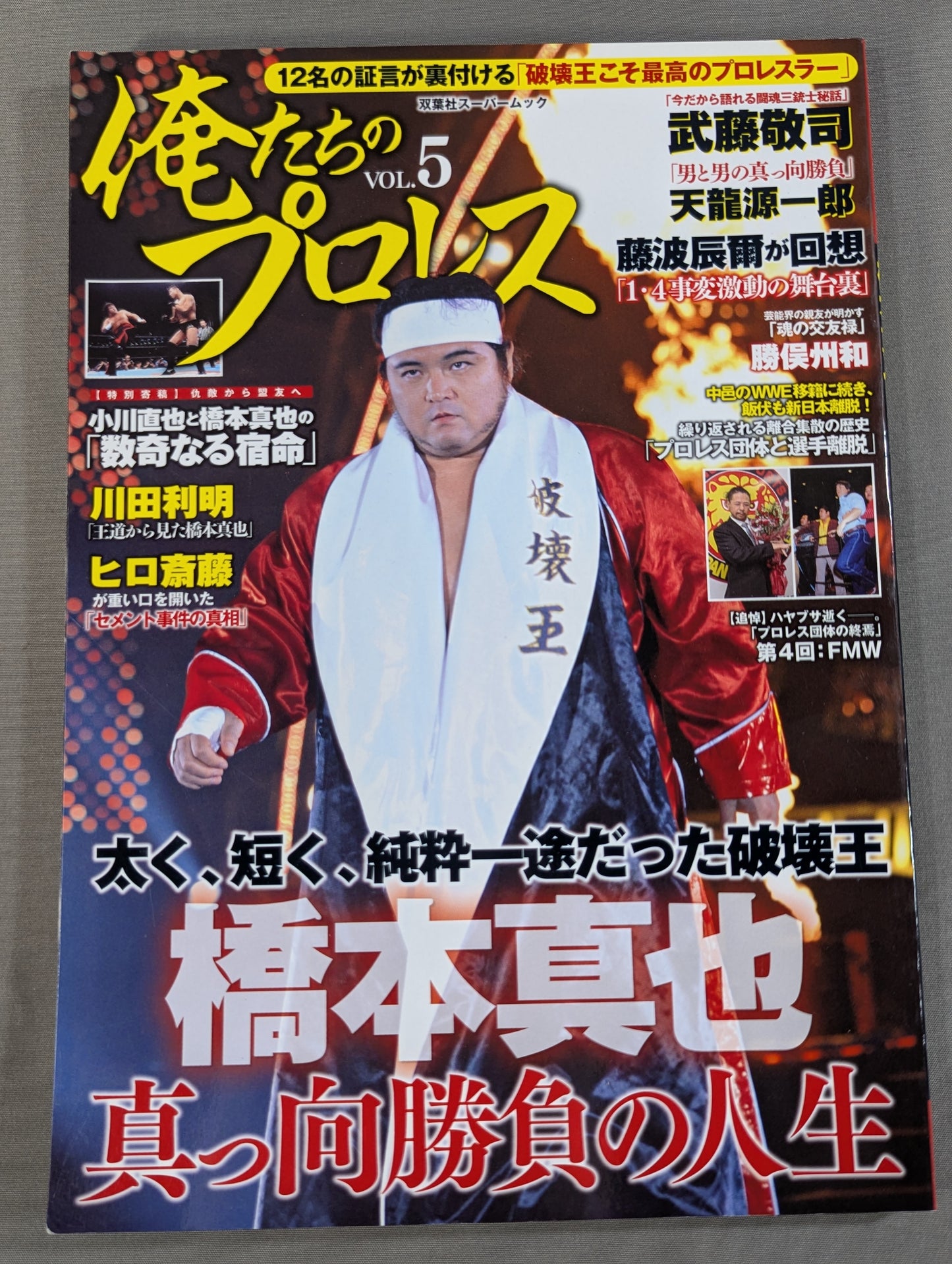 Our Pro Wrestling  Vol.5 Shinya Hashimoto  12 testimonies confirm that "the king of destruction is the best Pro Wrestler "