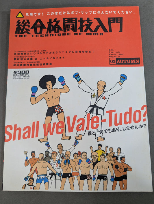 Introduction to mixed martial arts