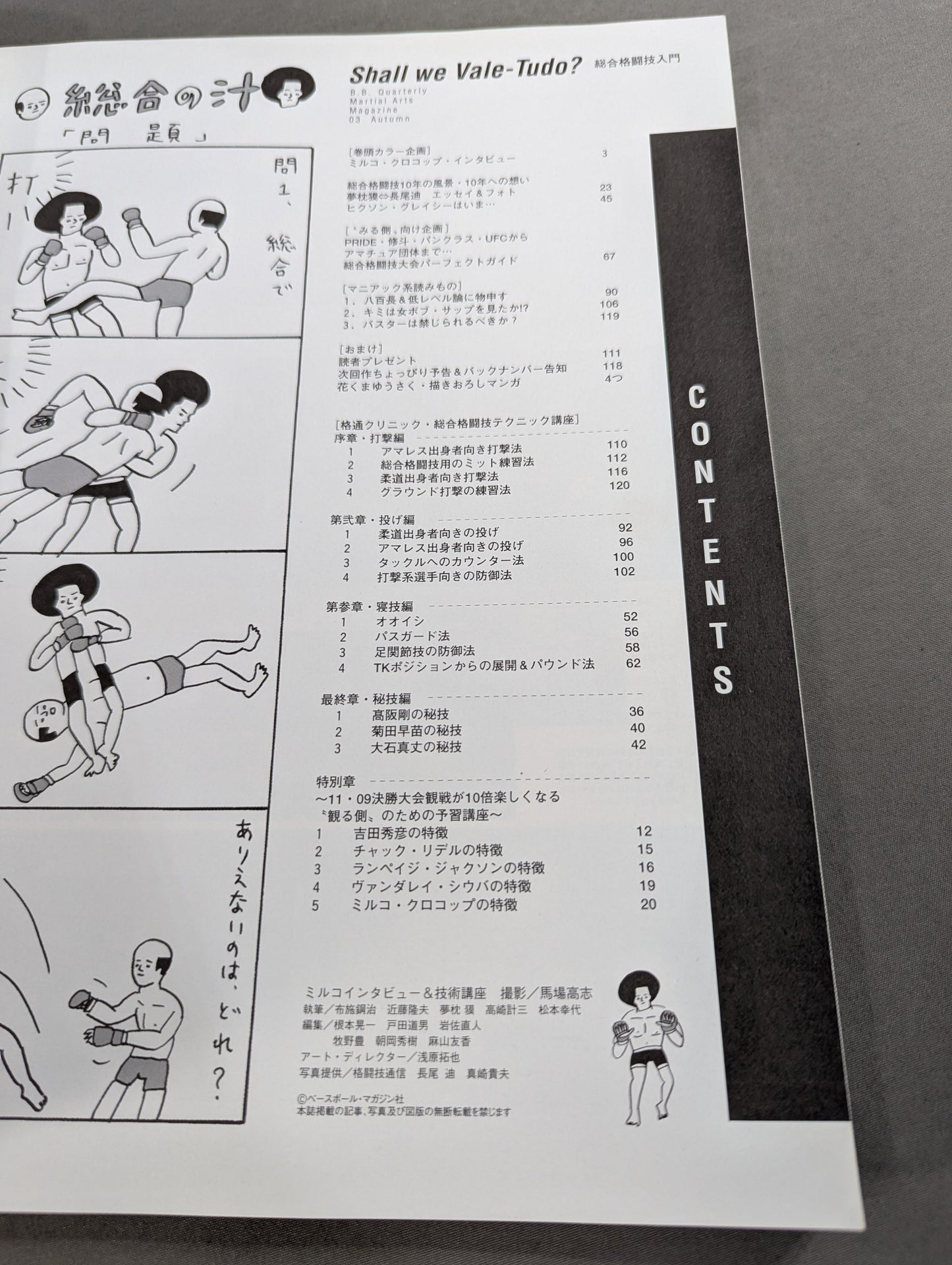 Introduction to mixed martial arts