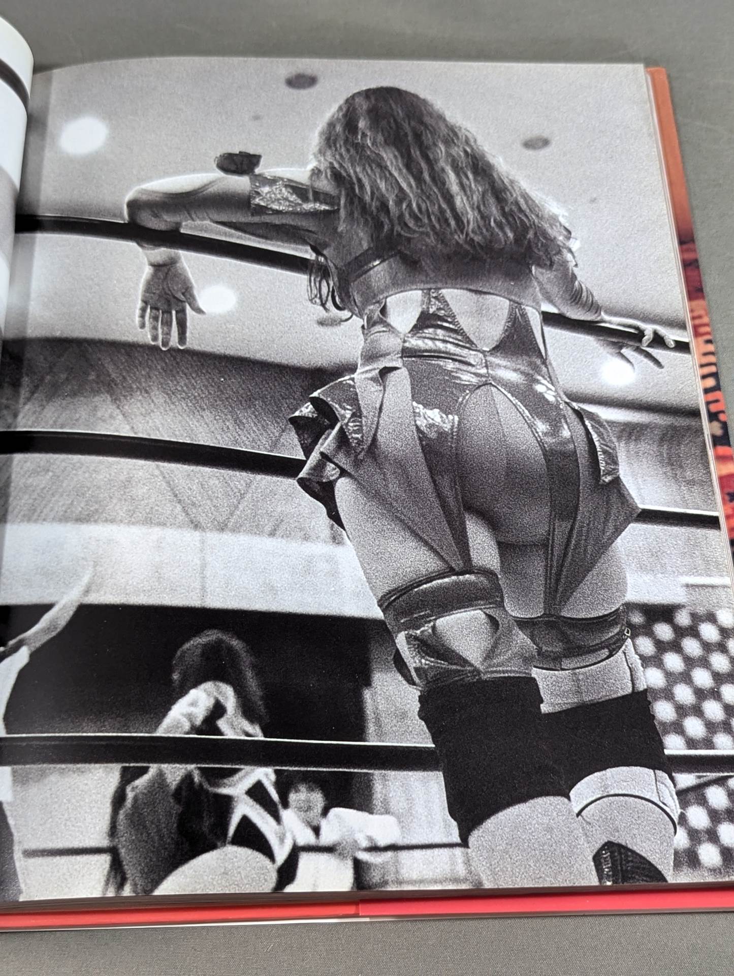 尾崎魔弓 写真集 ア・ラ・カルト