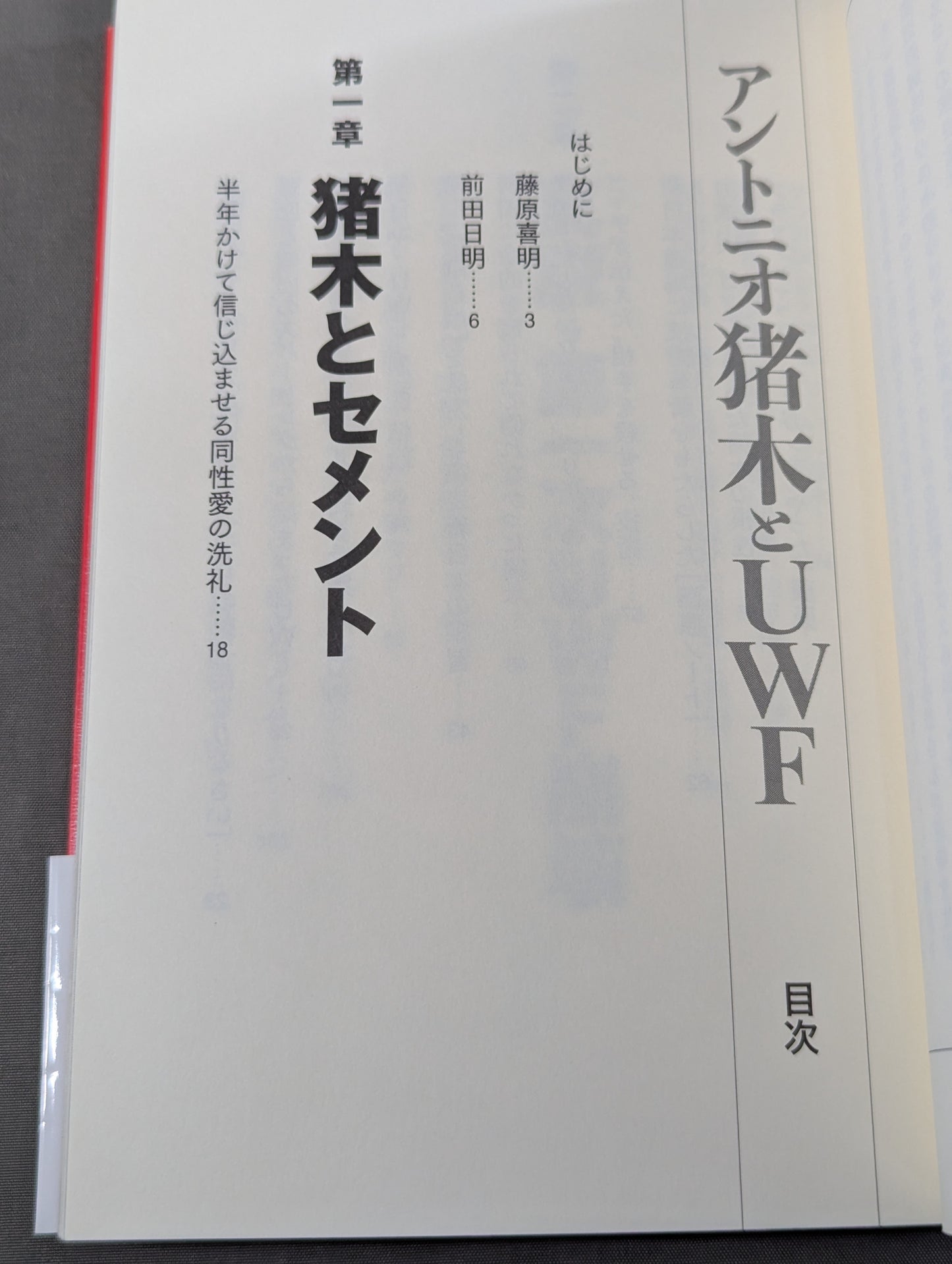 アントニオ猪木とUWF
