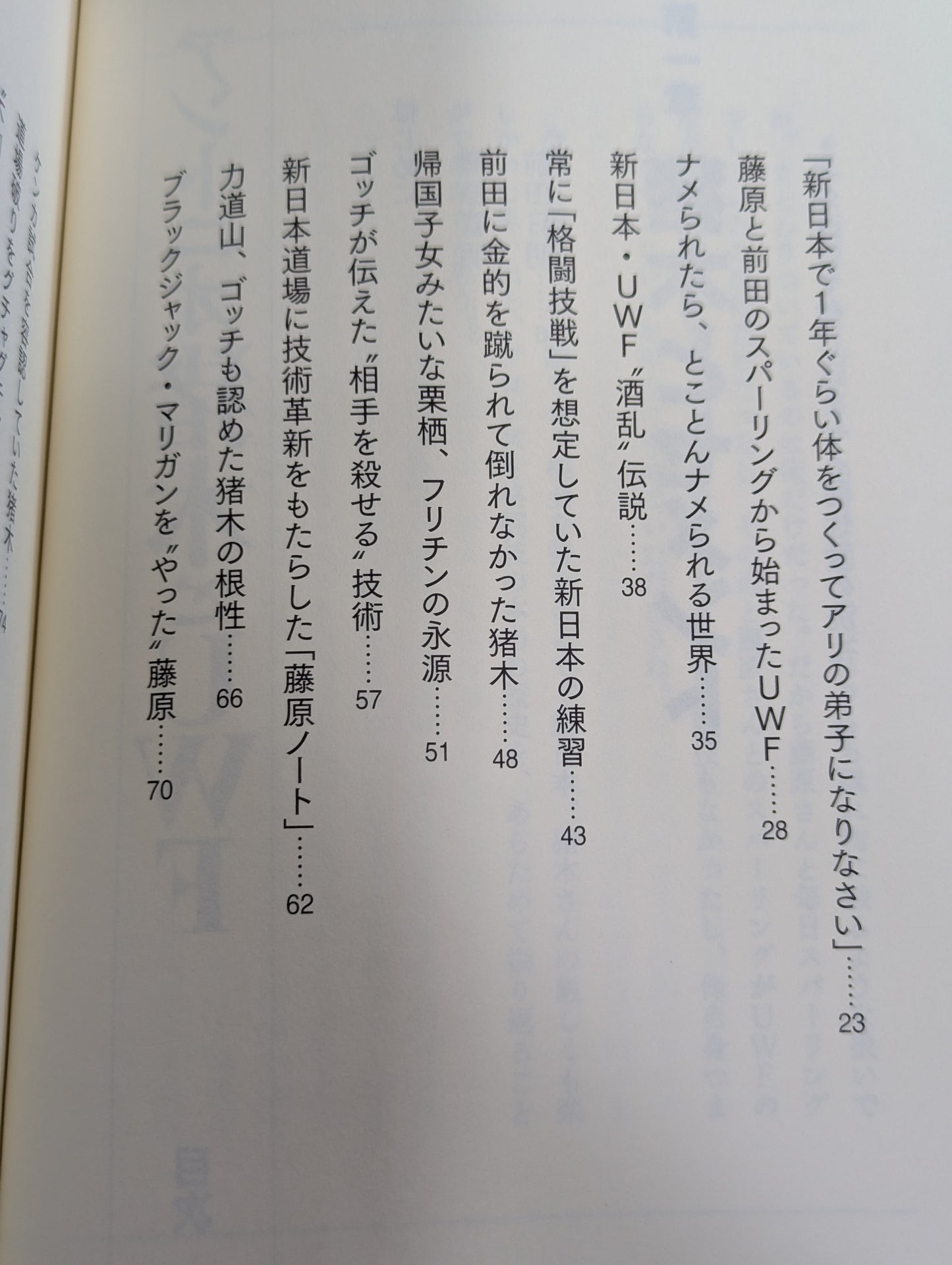 アントニオ猪木とUWF
