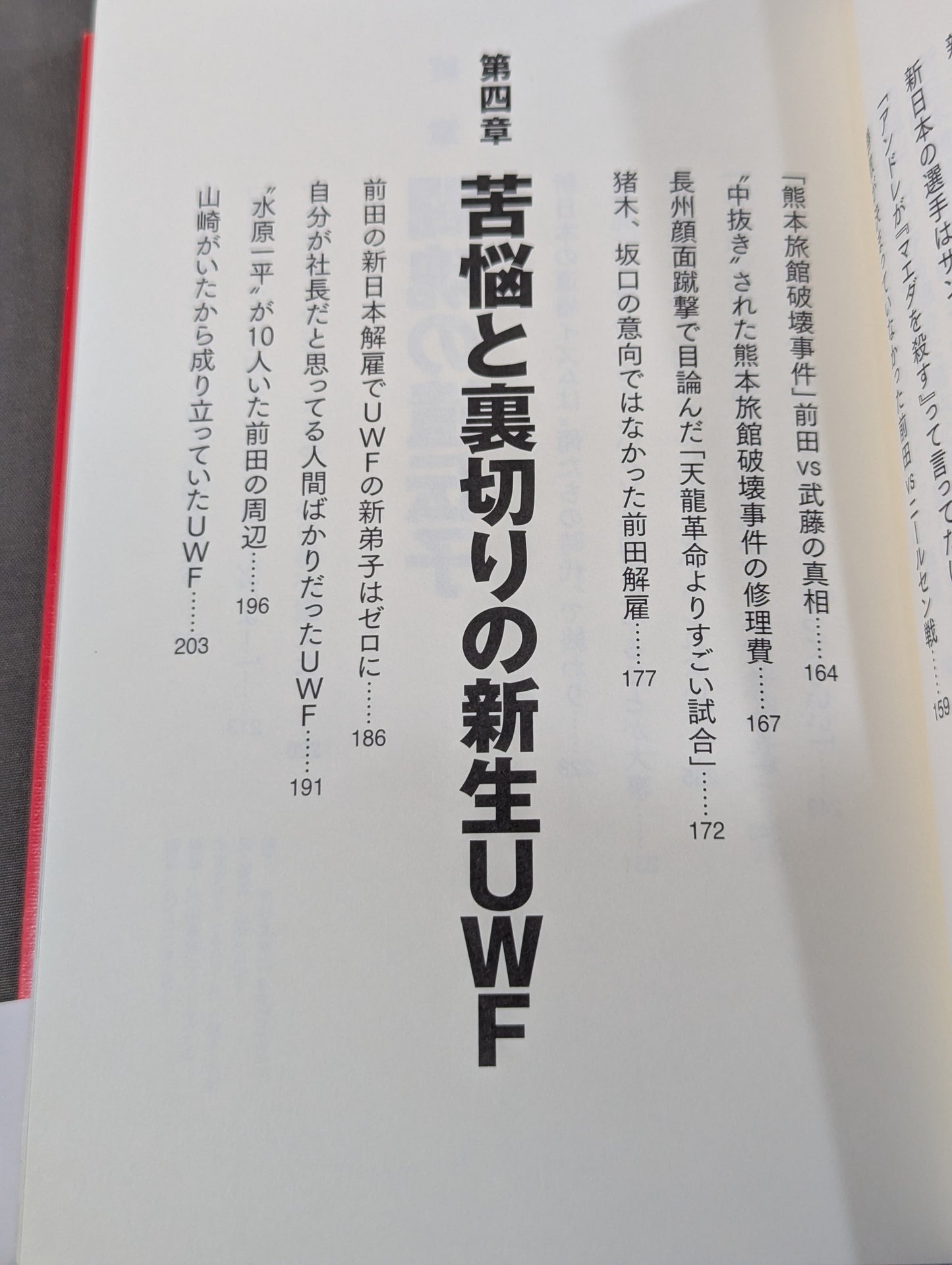 アントニオ猪木とUWF
