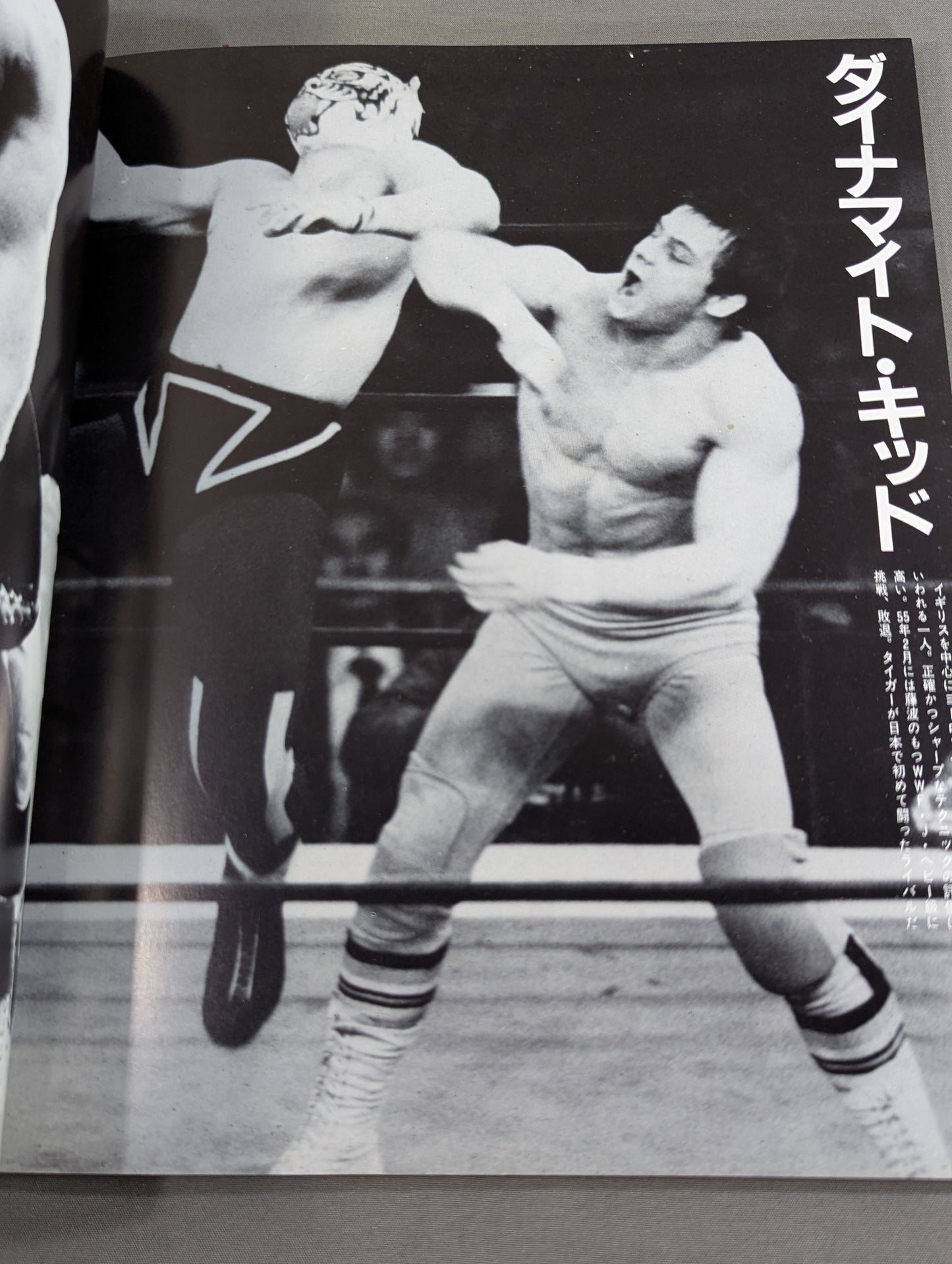 Tiger Mask photo  collection TV Asahi Golden Album