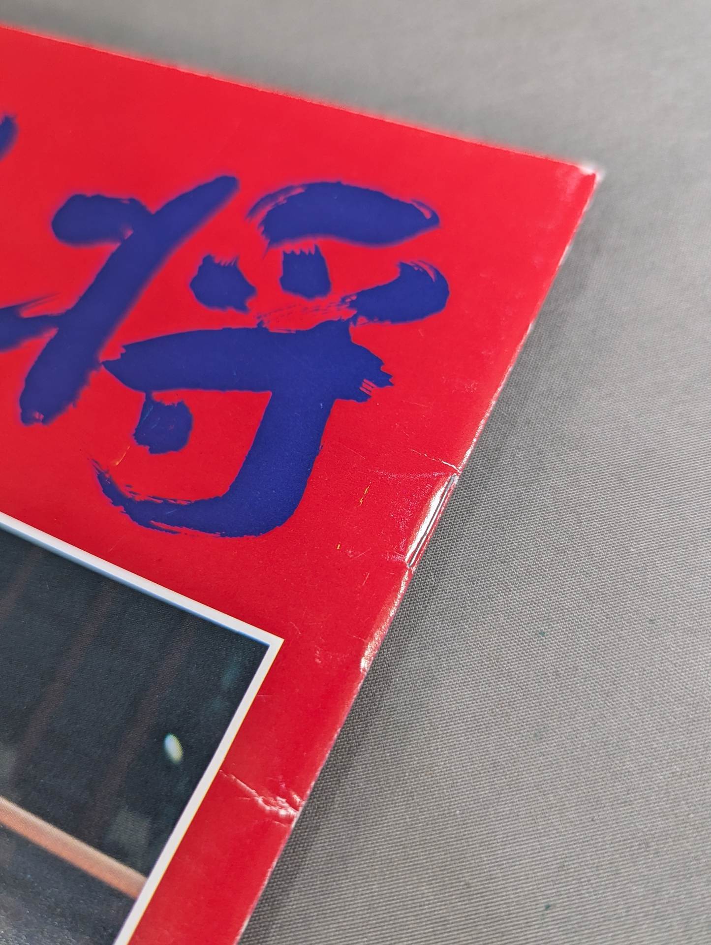 プロレスファンクラブ闘将 女子プロレス特集号