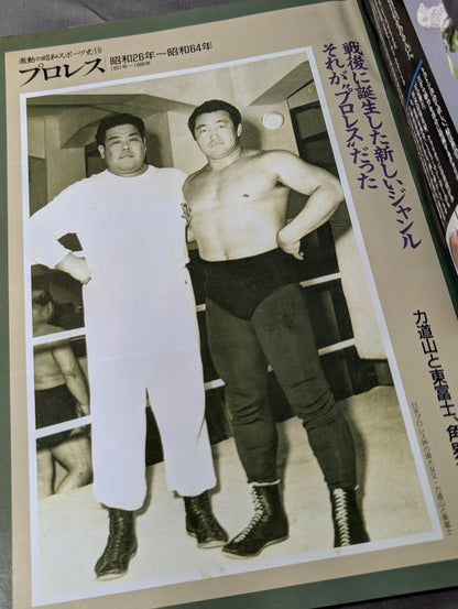 激動の昭和スポーツ史⑩ 【プロレス】力道山から馬場､猪木へ､そしてUWFの出現まで