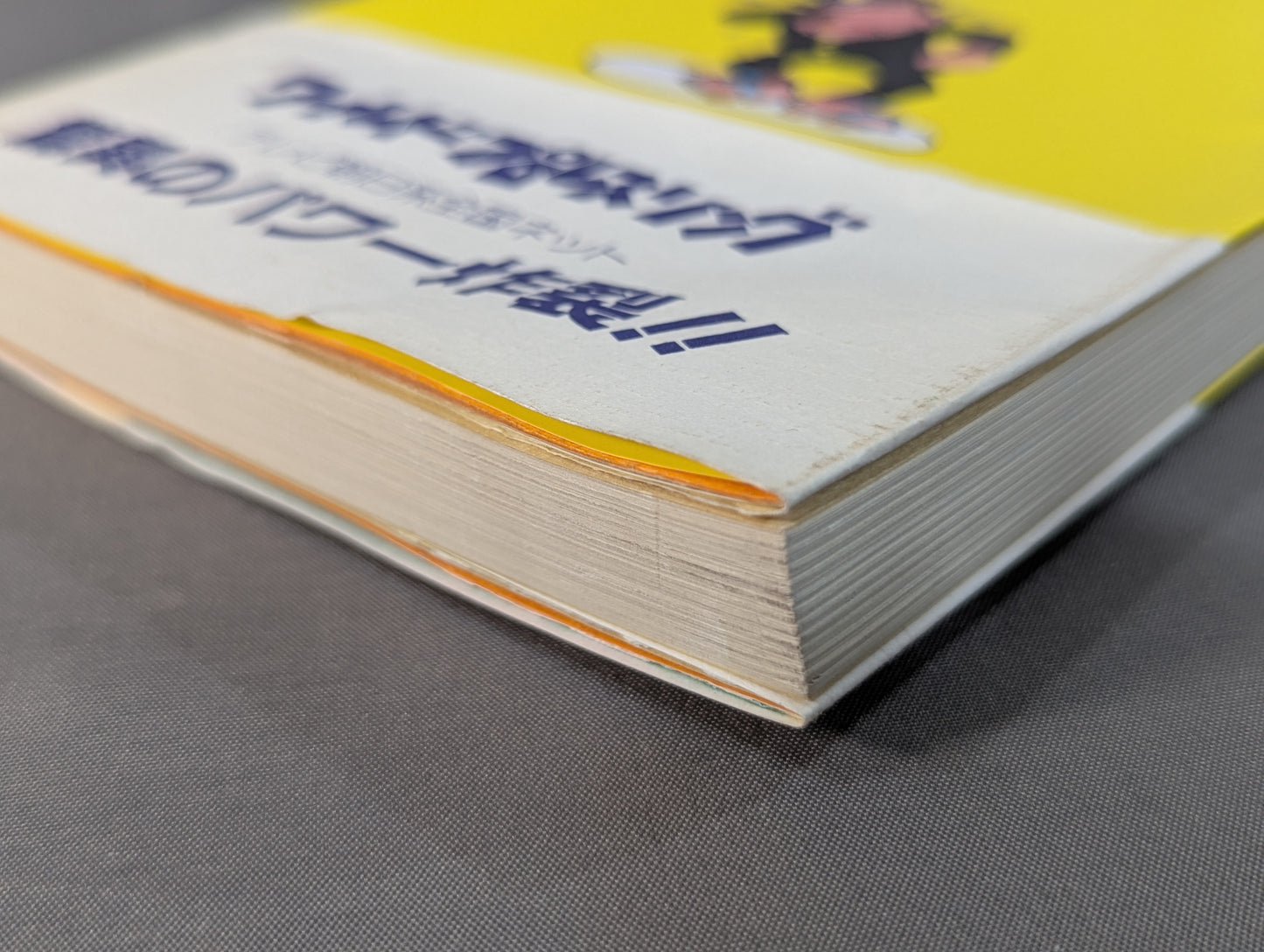 【hand signed autograph】 Kero's Pro Wrestling Youth Travel Diary