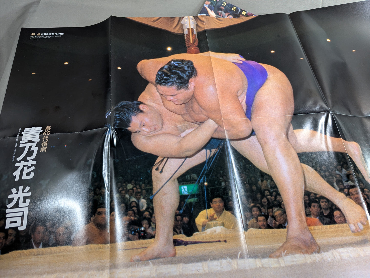 心技体抜群 第65代横綱 貴乃花光司
