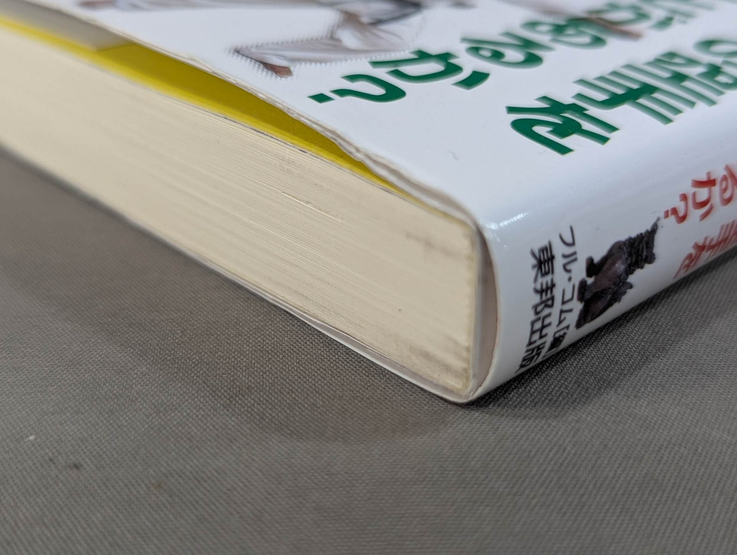 公開！沖縄空手の真実 君は本物の空手を見たことがあるか？