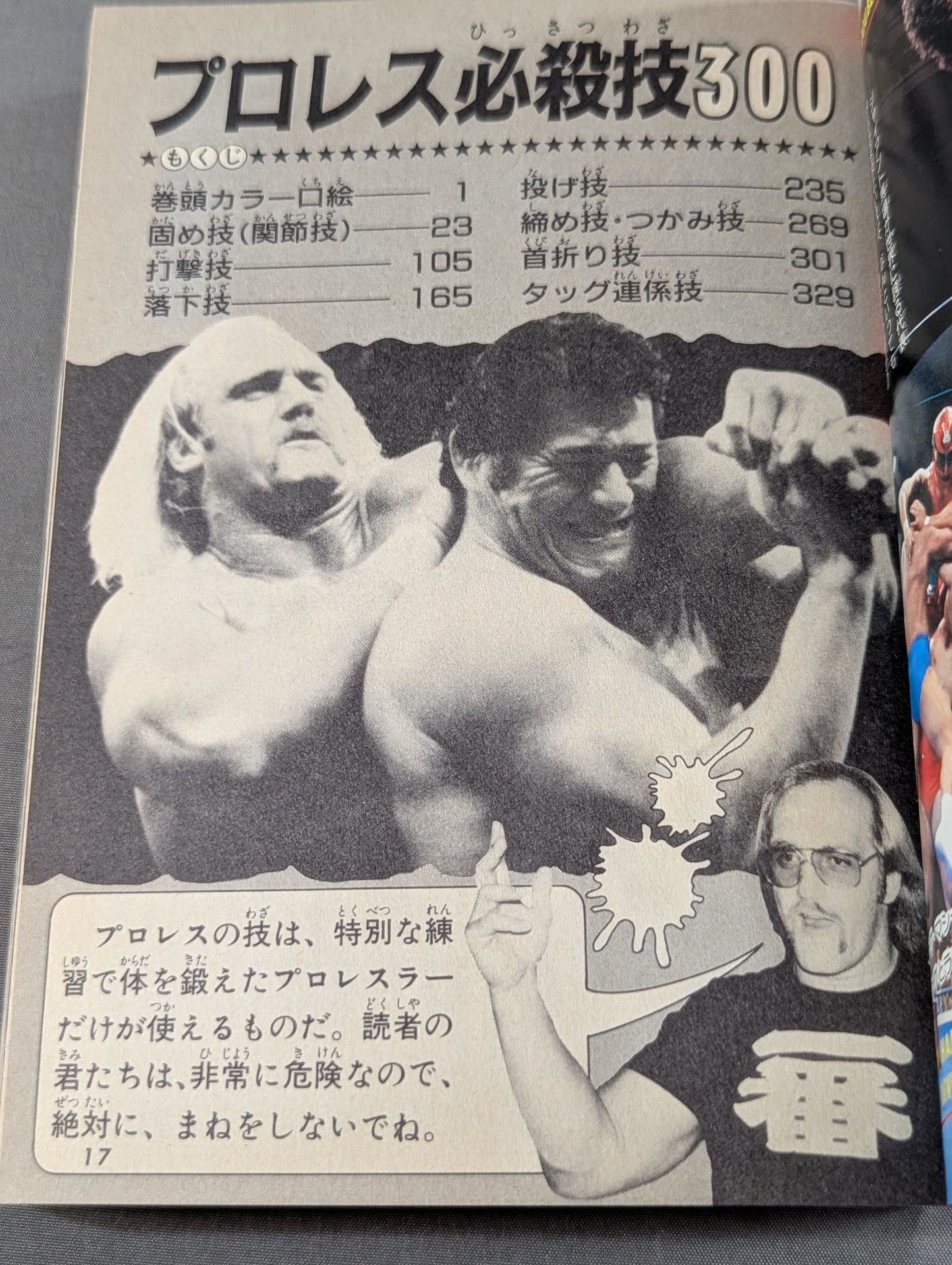 Pro Wrestling Special Move 300