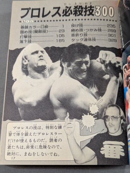 Pro Wrestling Special Move 300