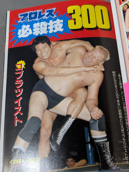 Pro Wrestling Special Move 300