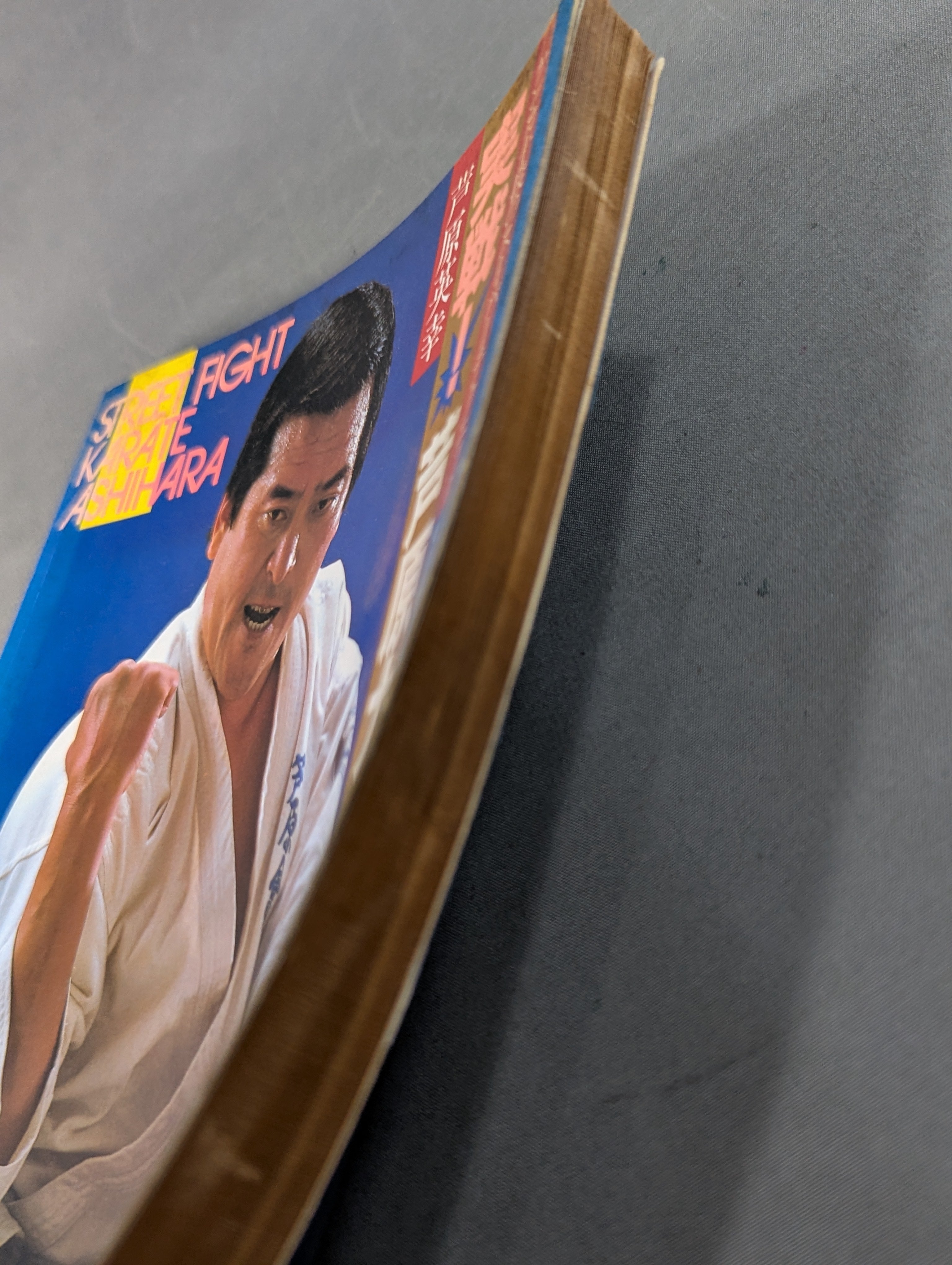 実戦!芦原カラテ STREET FIGHT – 闘道館