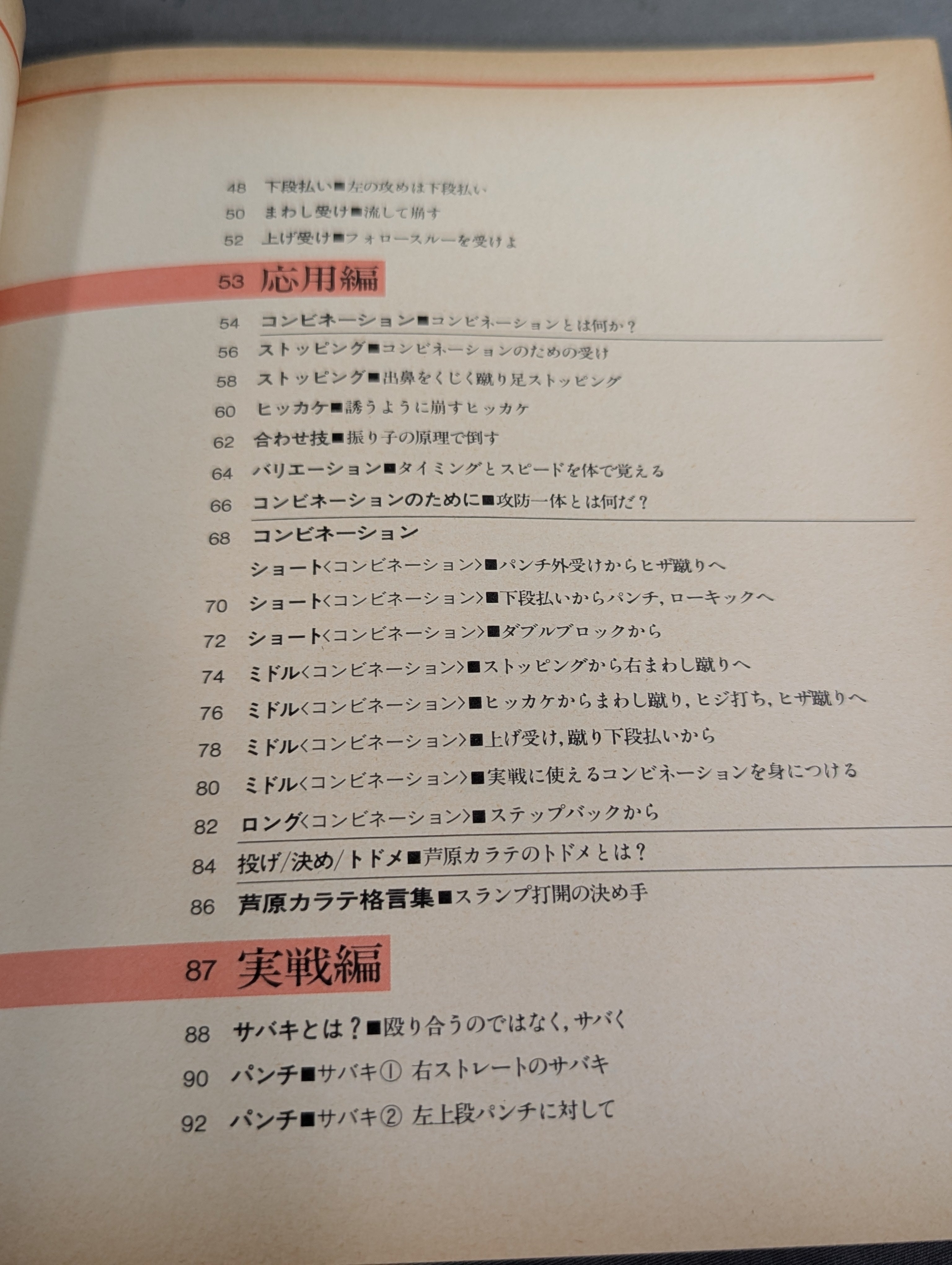 実戦!芦原カラテ STREET FIGHT – 闘道館