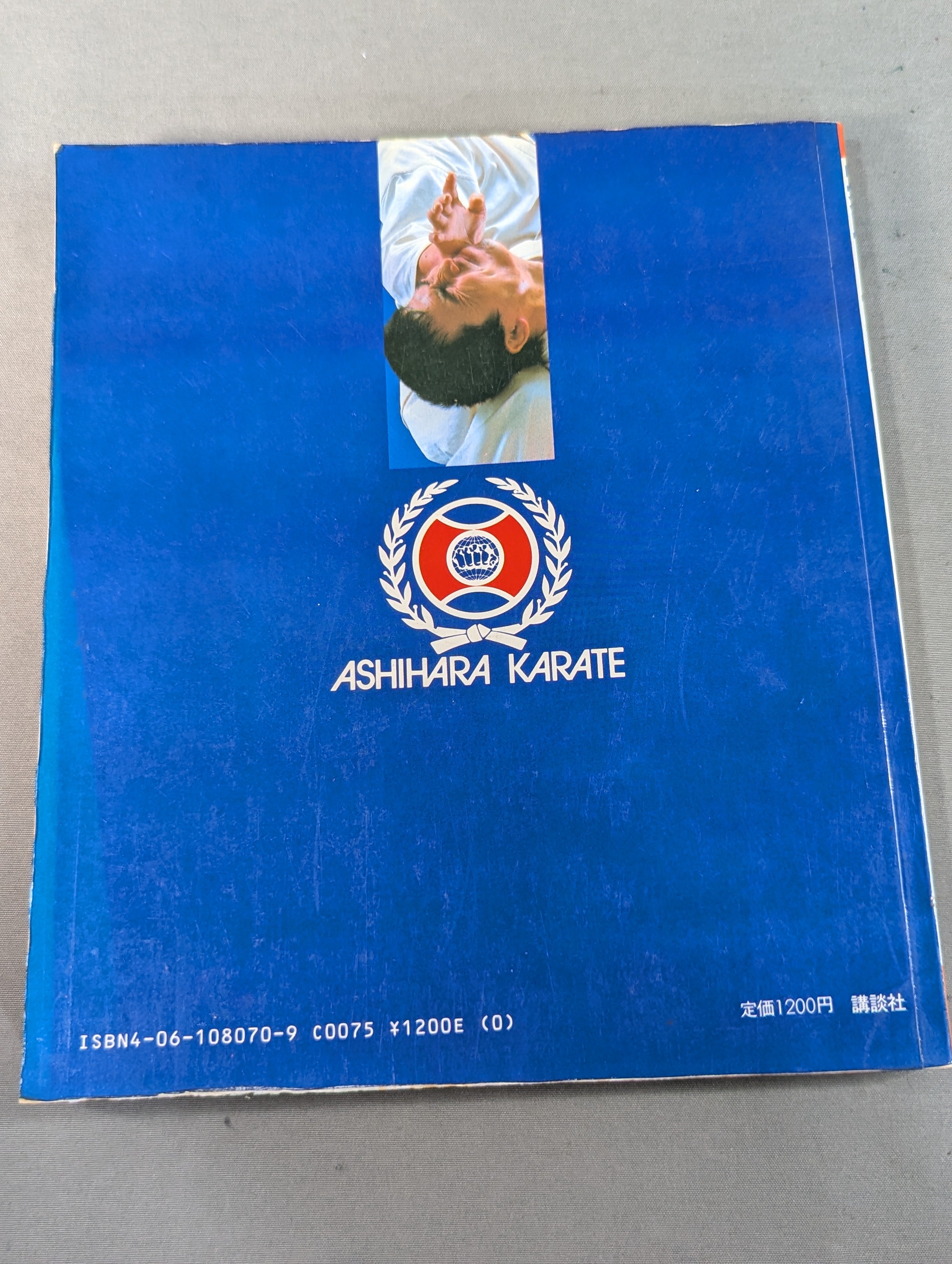 実戦!芦原カラテ STREET FIGHT – 闘道館