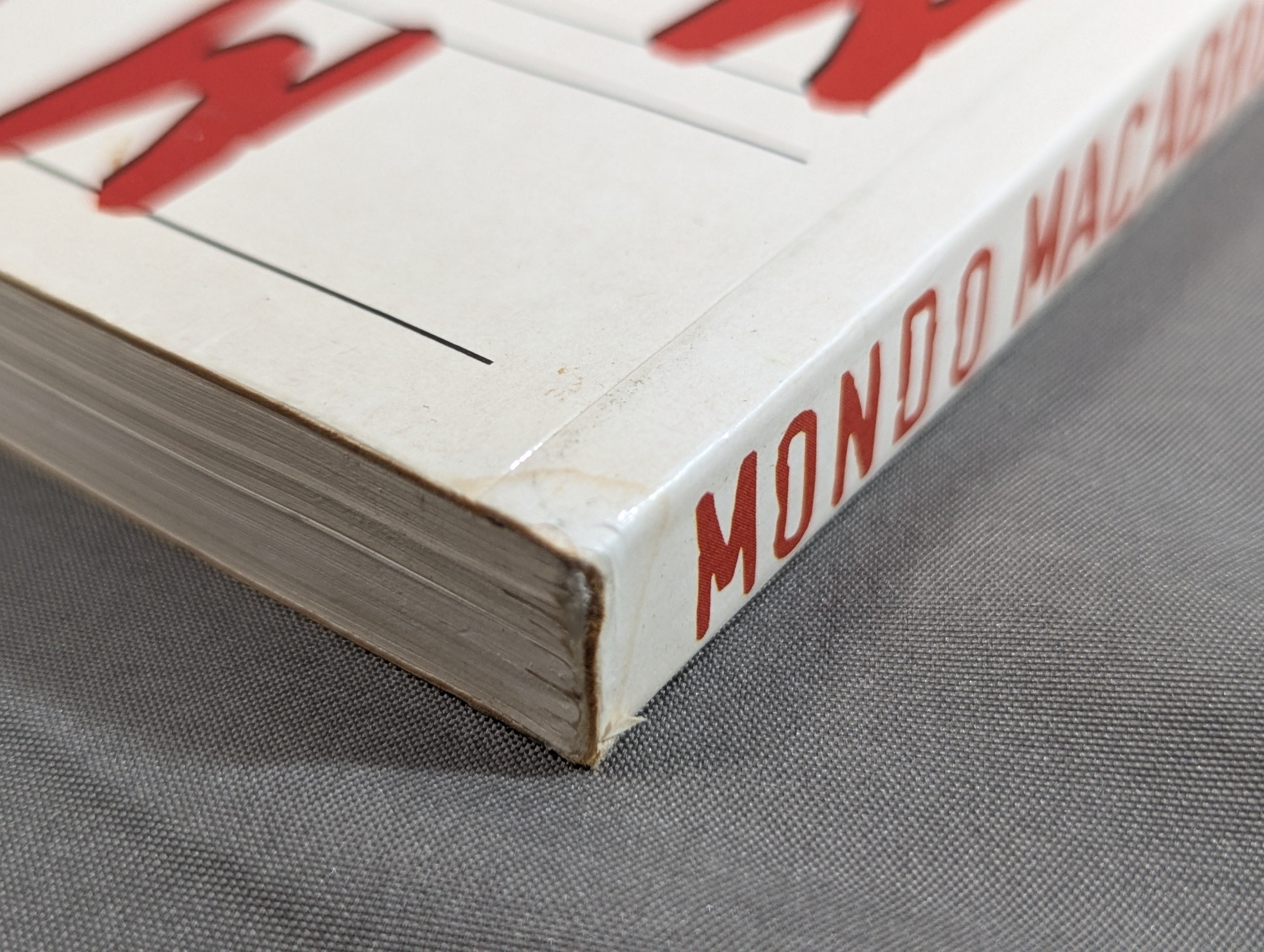 Mondo Macabro: Weird & Wonderful Cinema Around the World – 闘道館