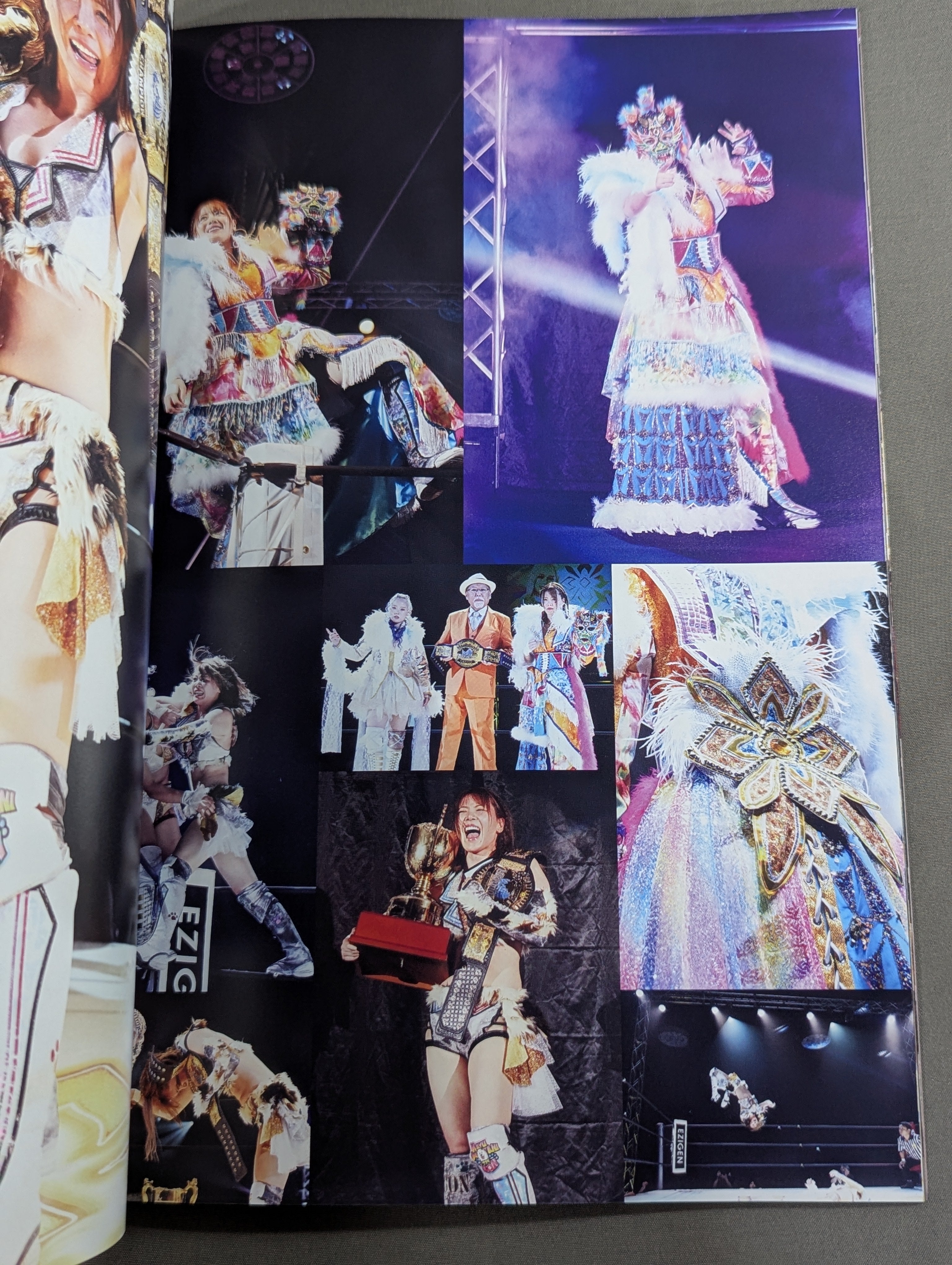 岩谷麻優 直筆サイン入り】FOTOLIBRE de Mascara Numero.84 – 闘道館