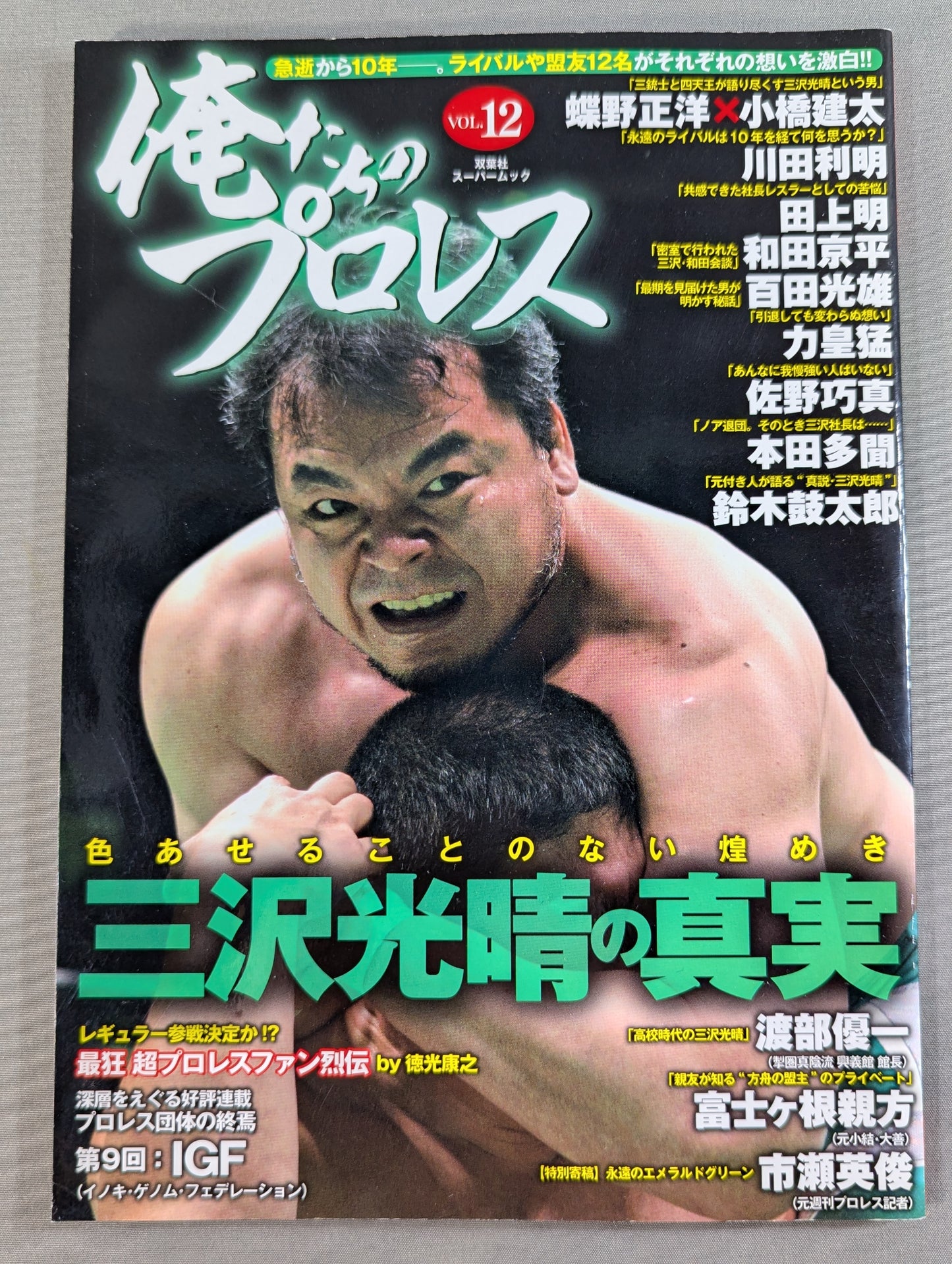 俺たちのプロレス VOL.12 三沢光晴の真実 急逝から10年―。ライバルや盟友12名がそれぞれの想いを激白!!