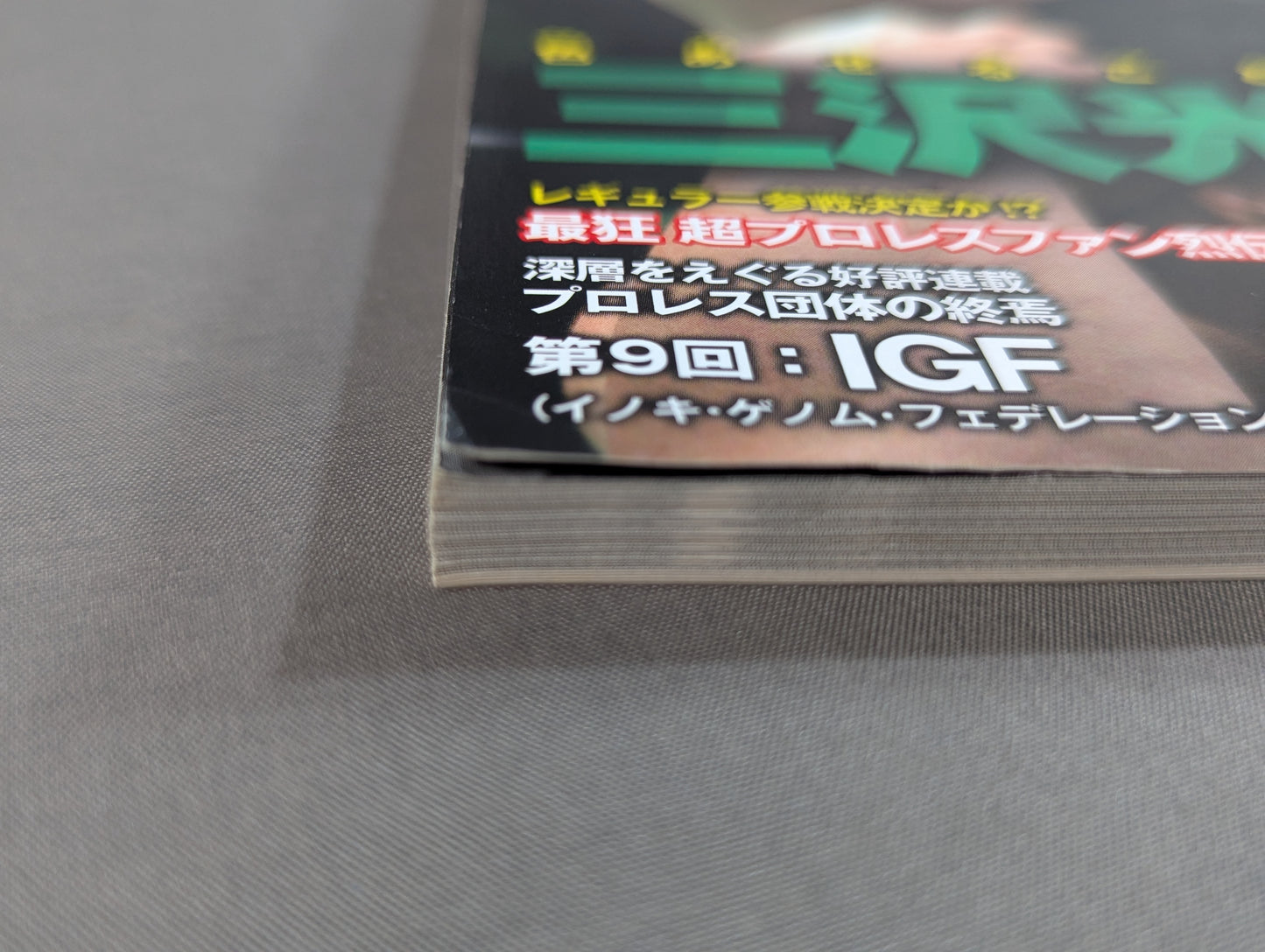 俺たちのプロレス VOL.12 三沢光晴の真実 急逝から10年―。ライバルや盟友12名がそれぞれの想いを激白!!