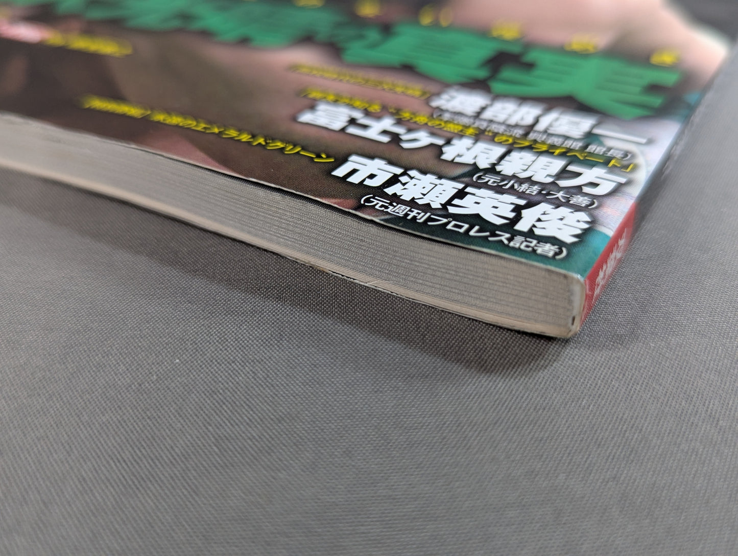 俺たちのプロレス VOL.12 三沢光晴の真実 急逝から10年―。ライバルや盟友12名がそれぞれの想いを激白!!